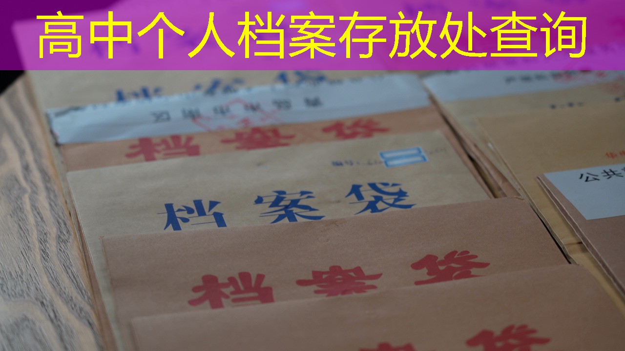档案查询