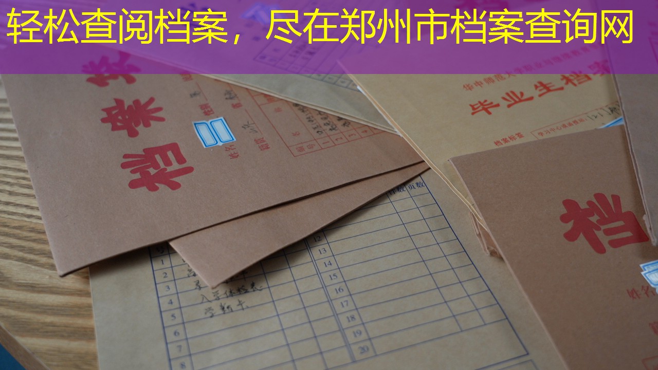档案查询