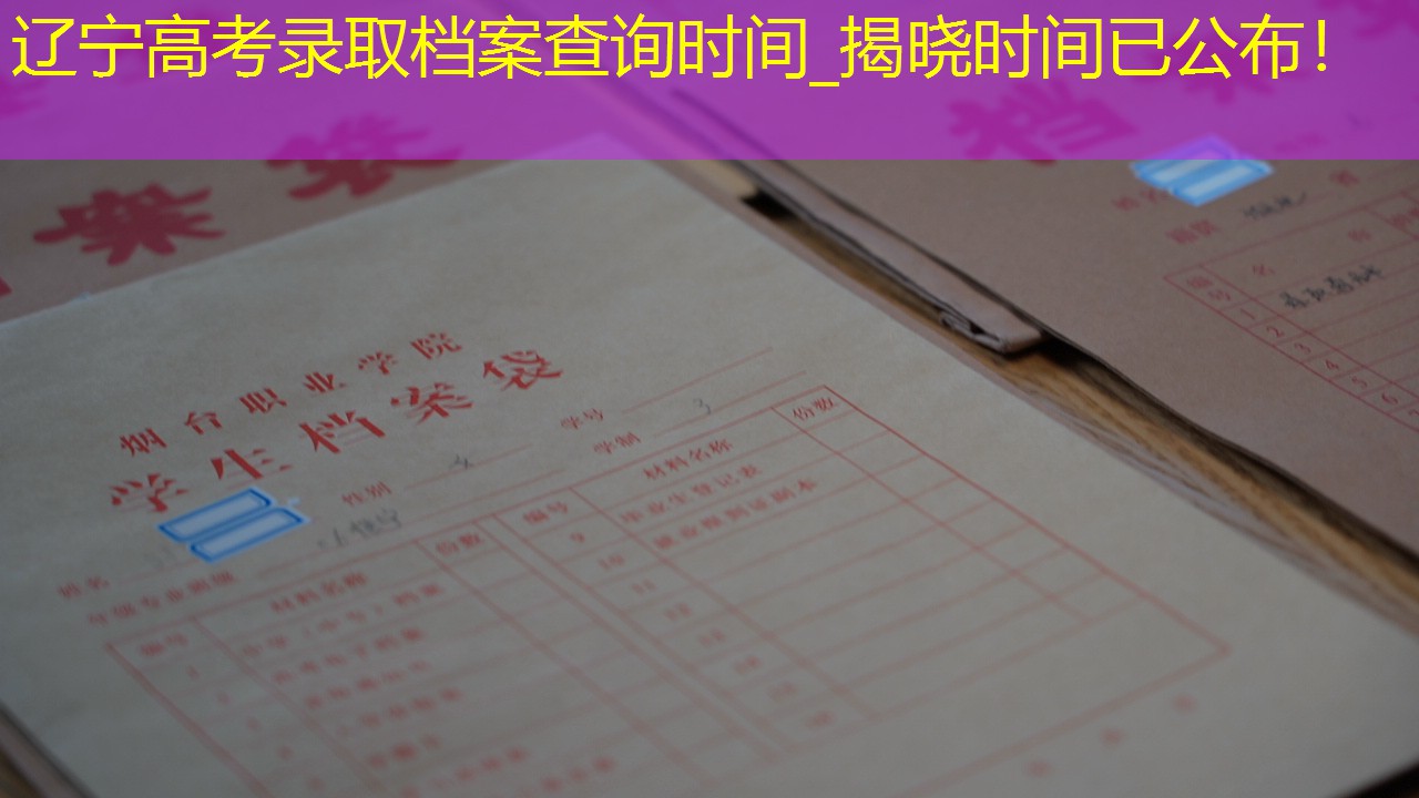 档案查询