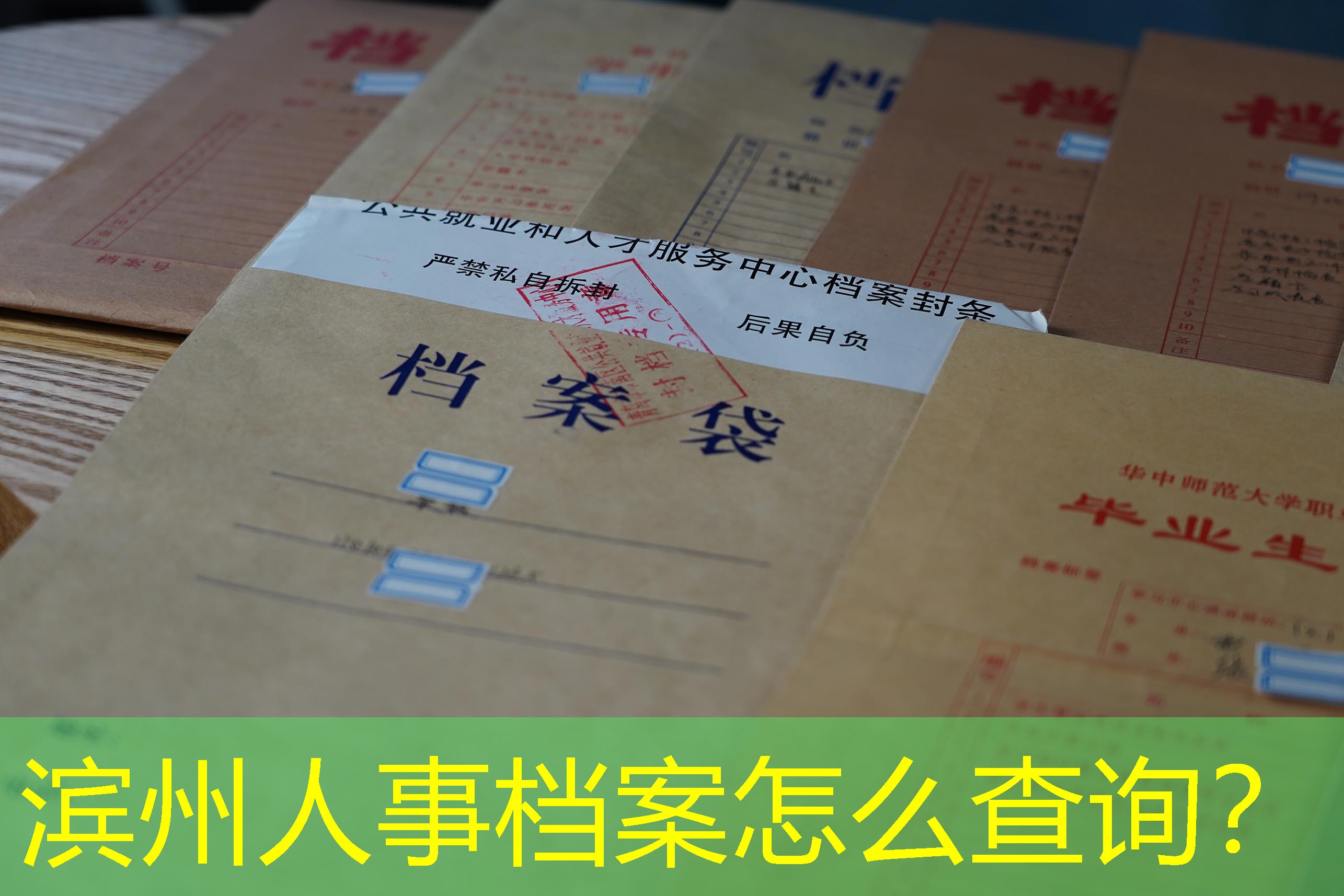 档案查询