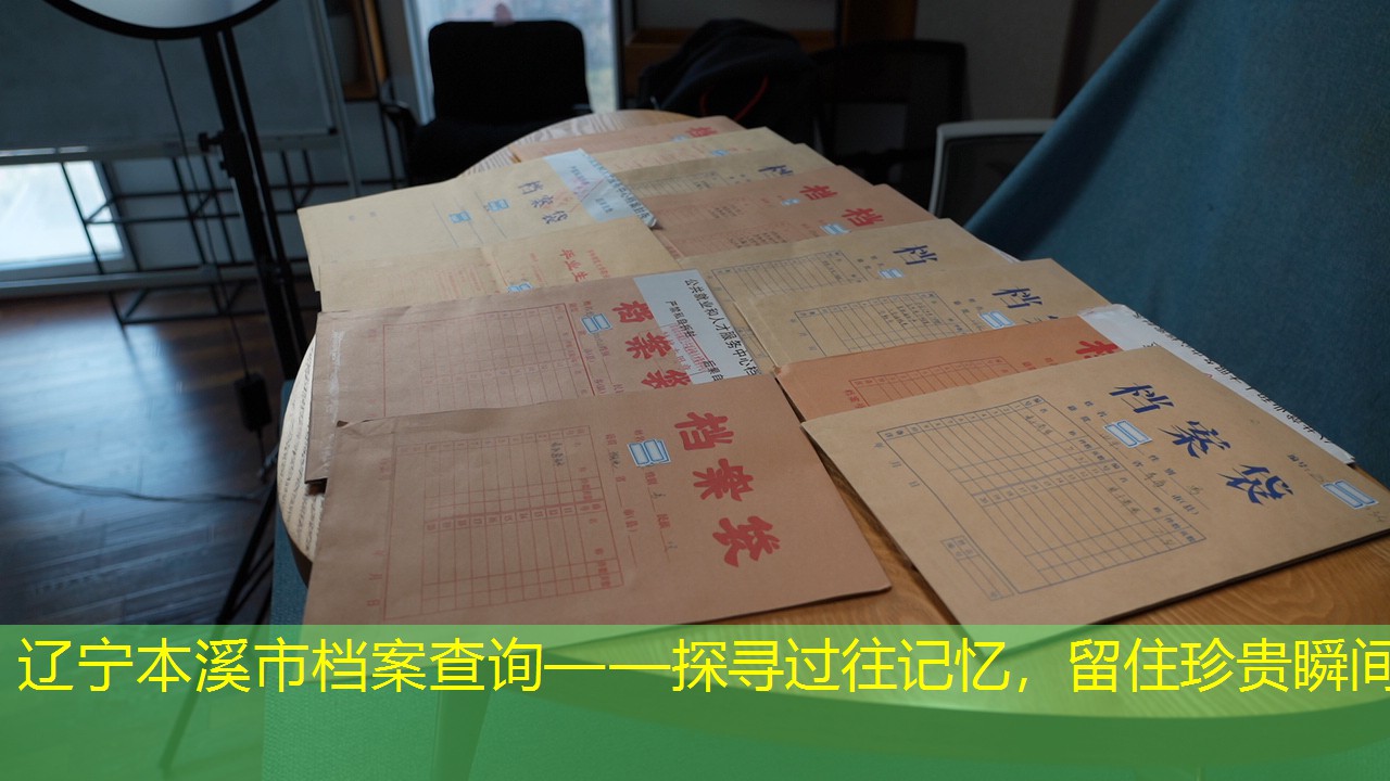 档案查询