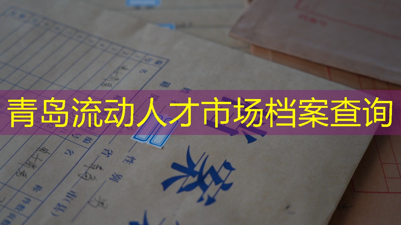 档案查询