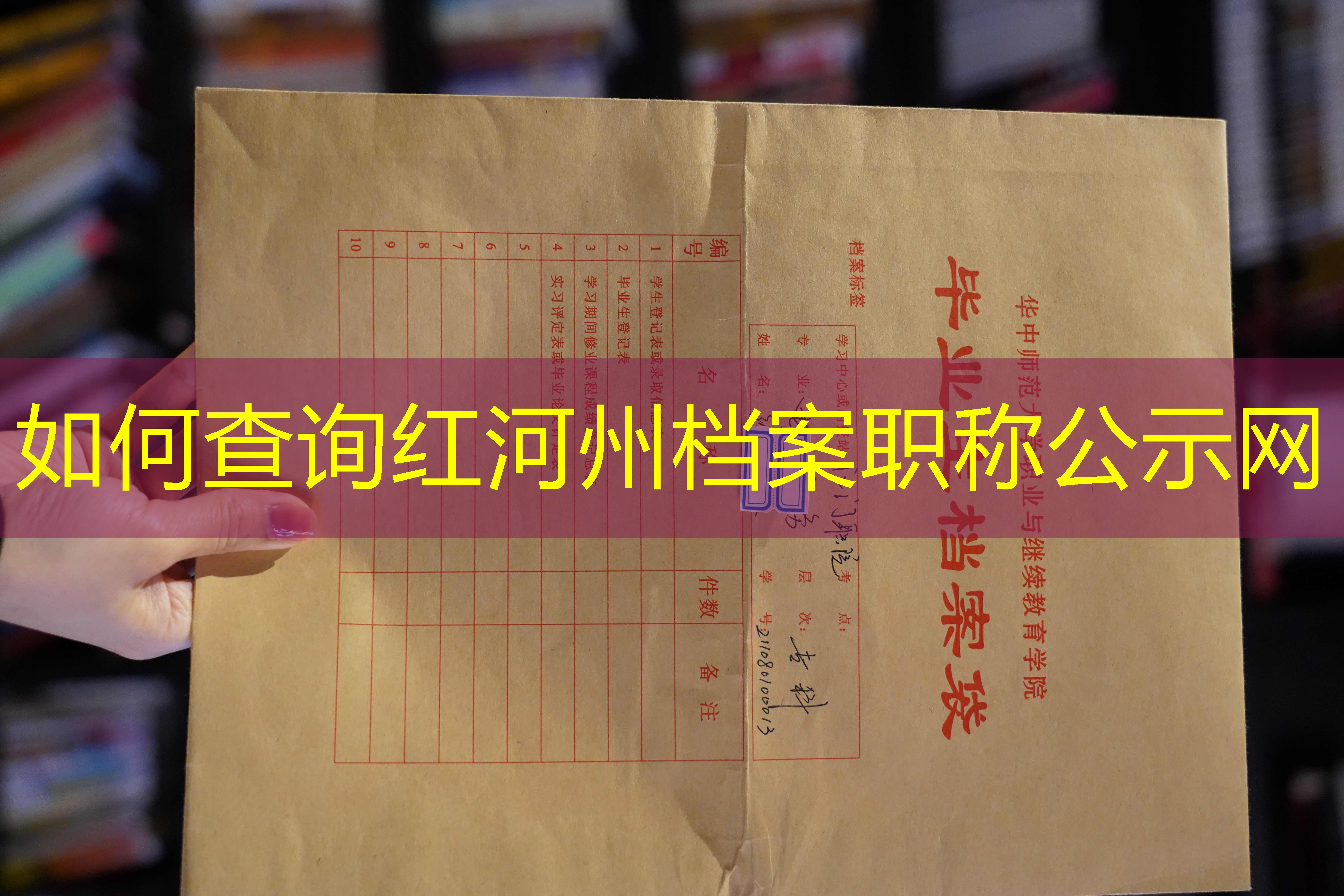 档案查询