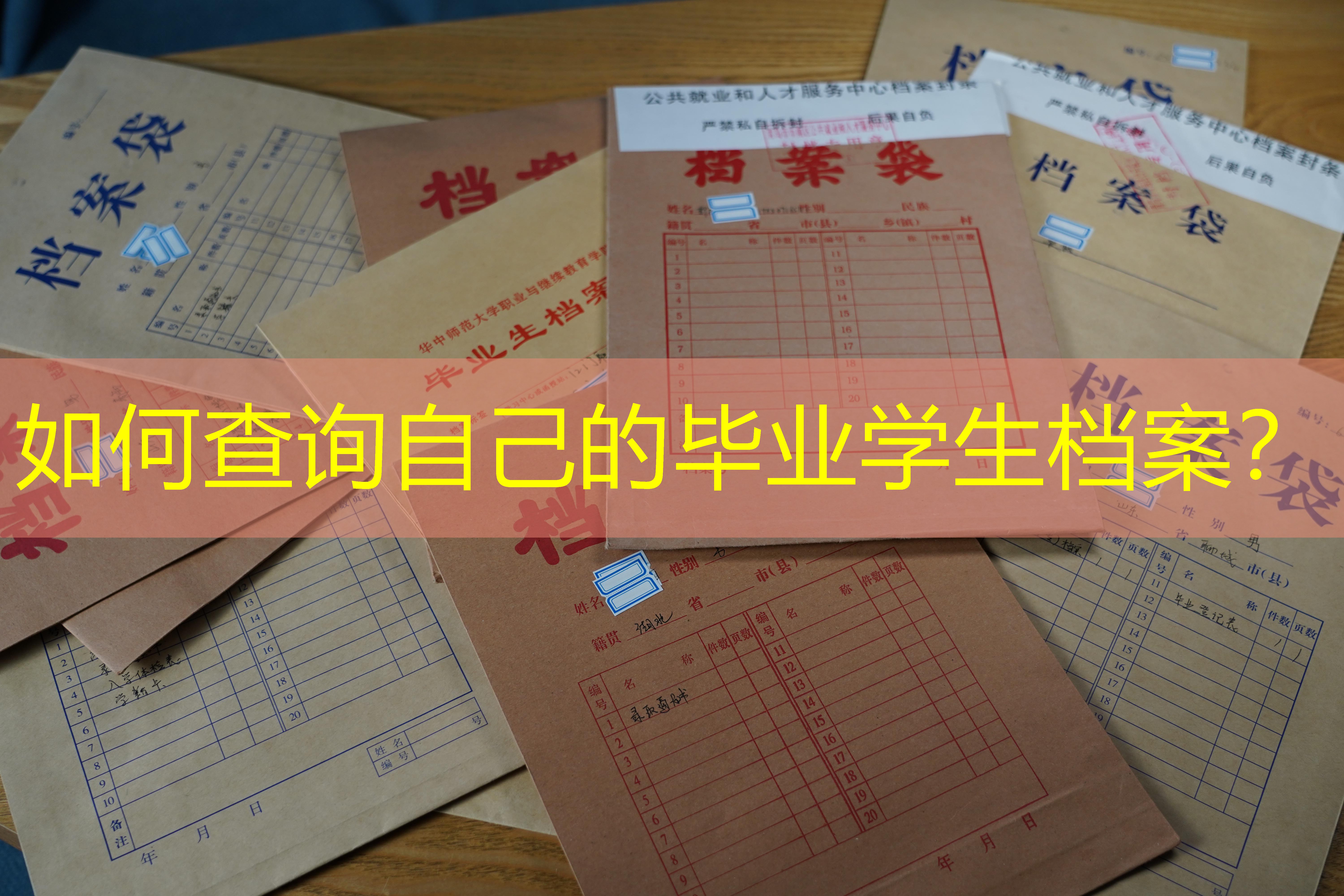 档案查询