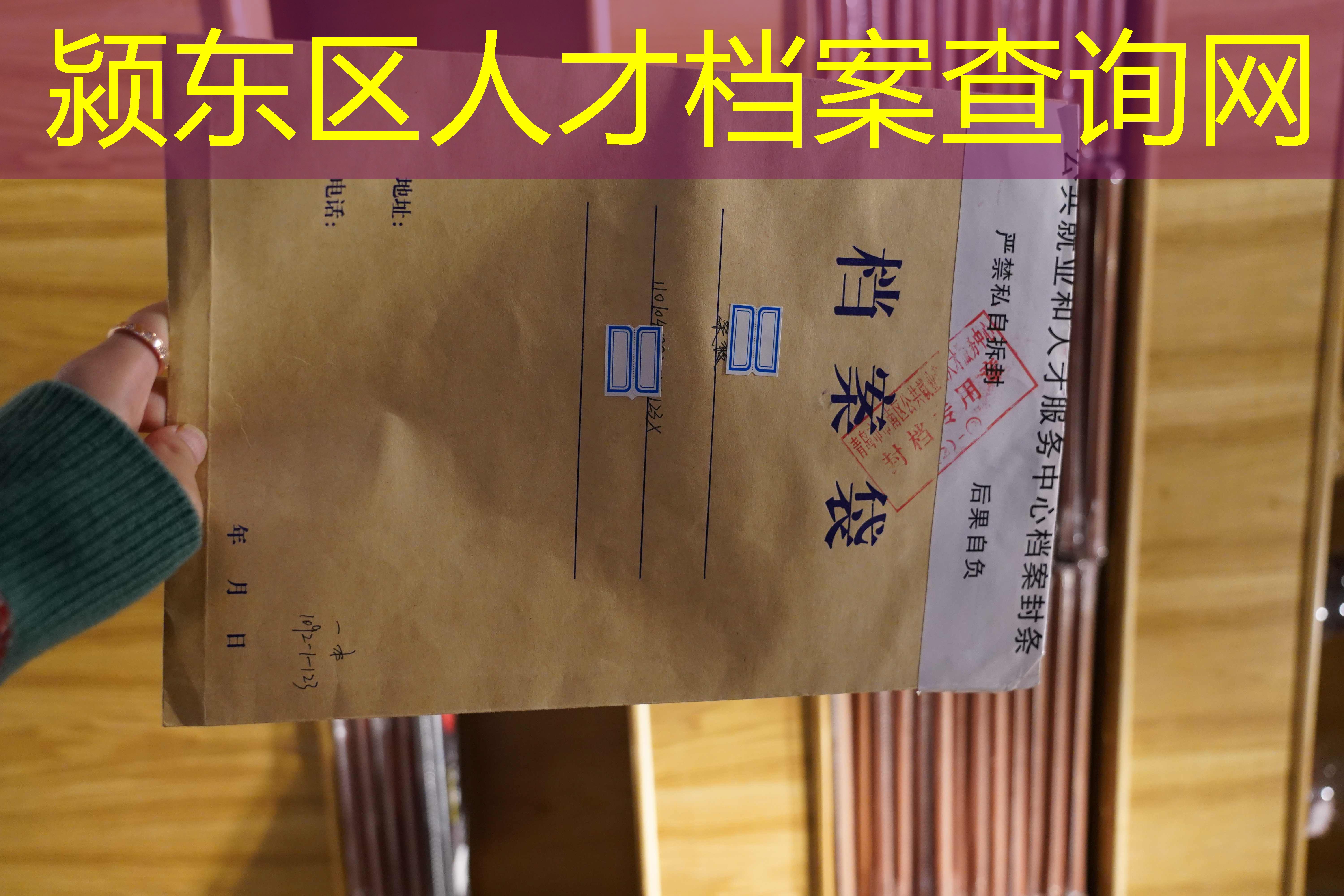 档案查询