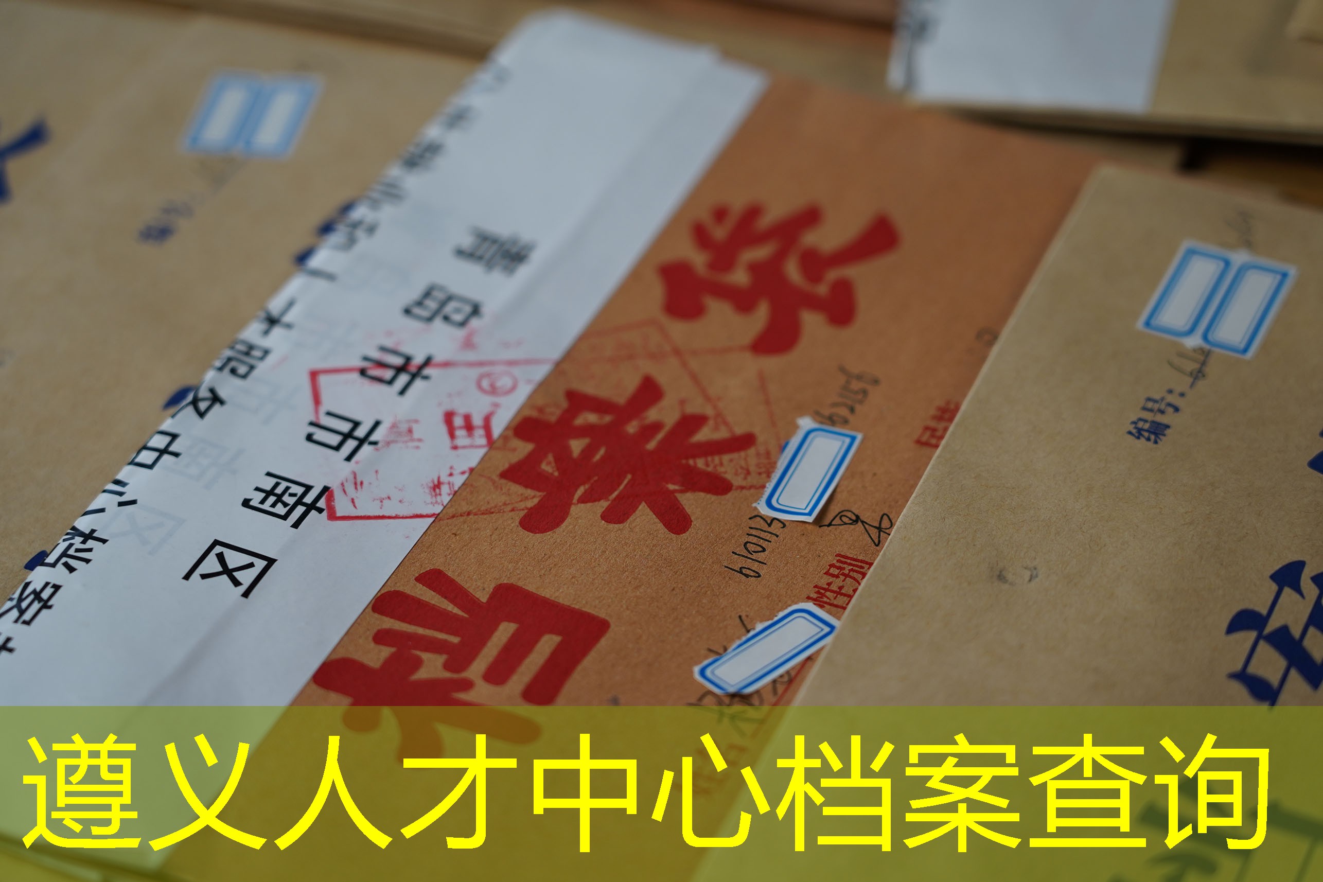 档案查询