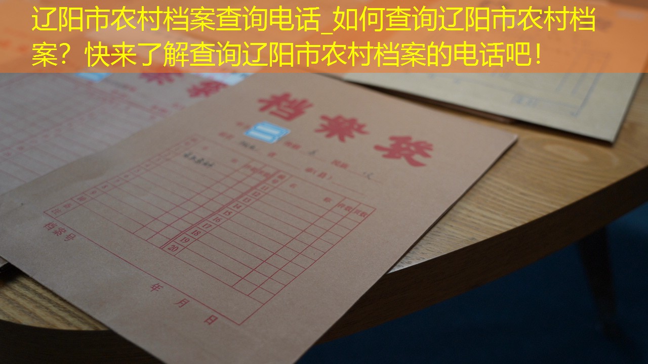档案查询