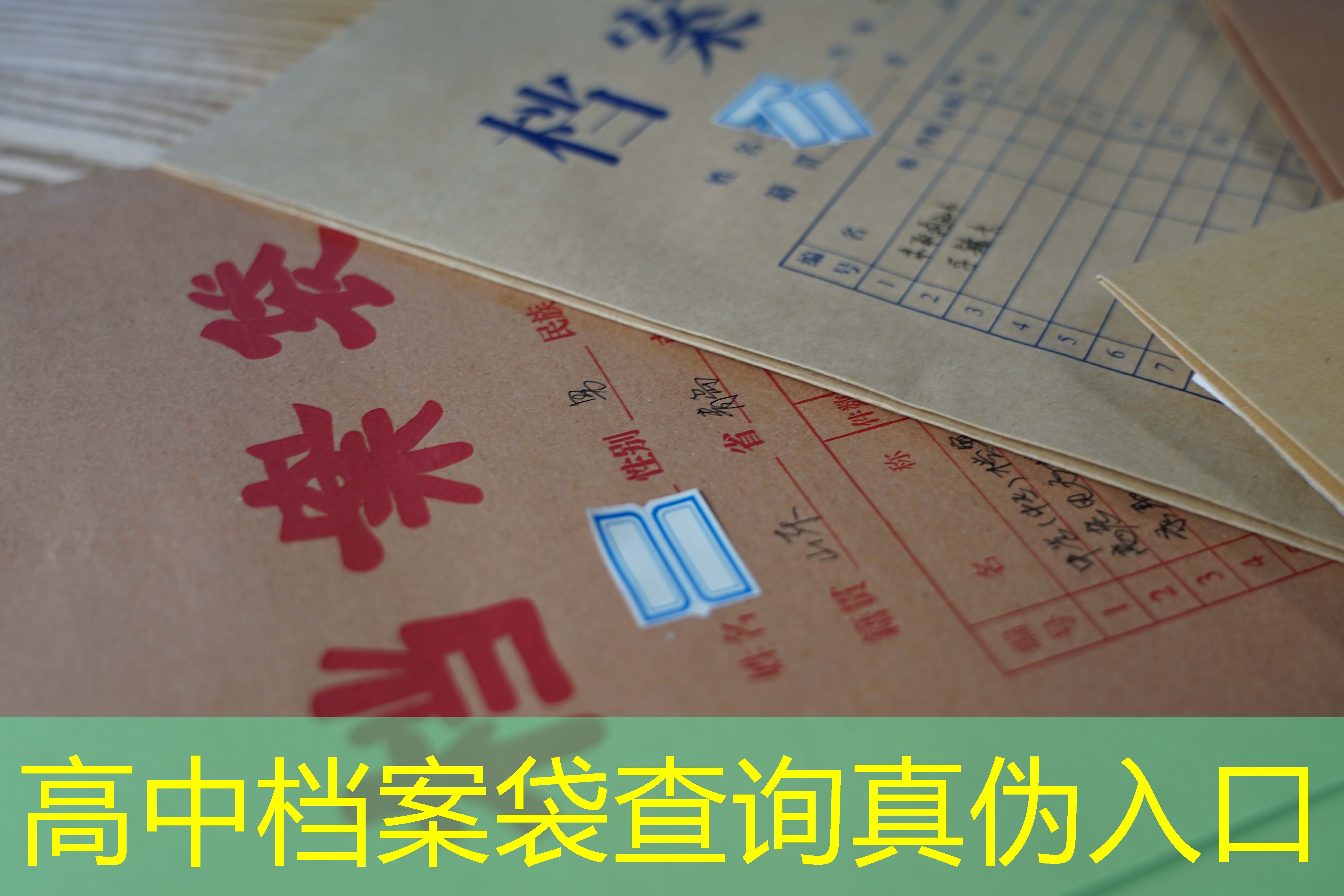 档案查询