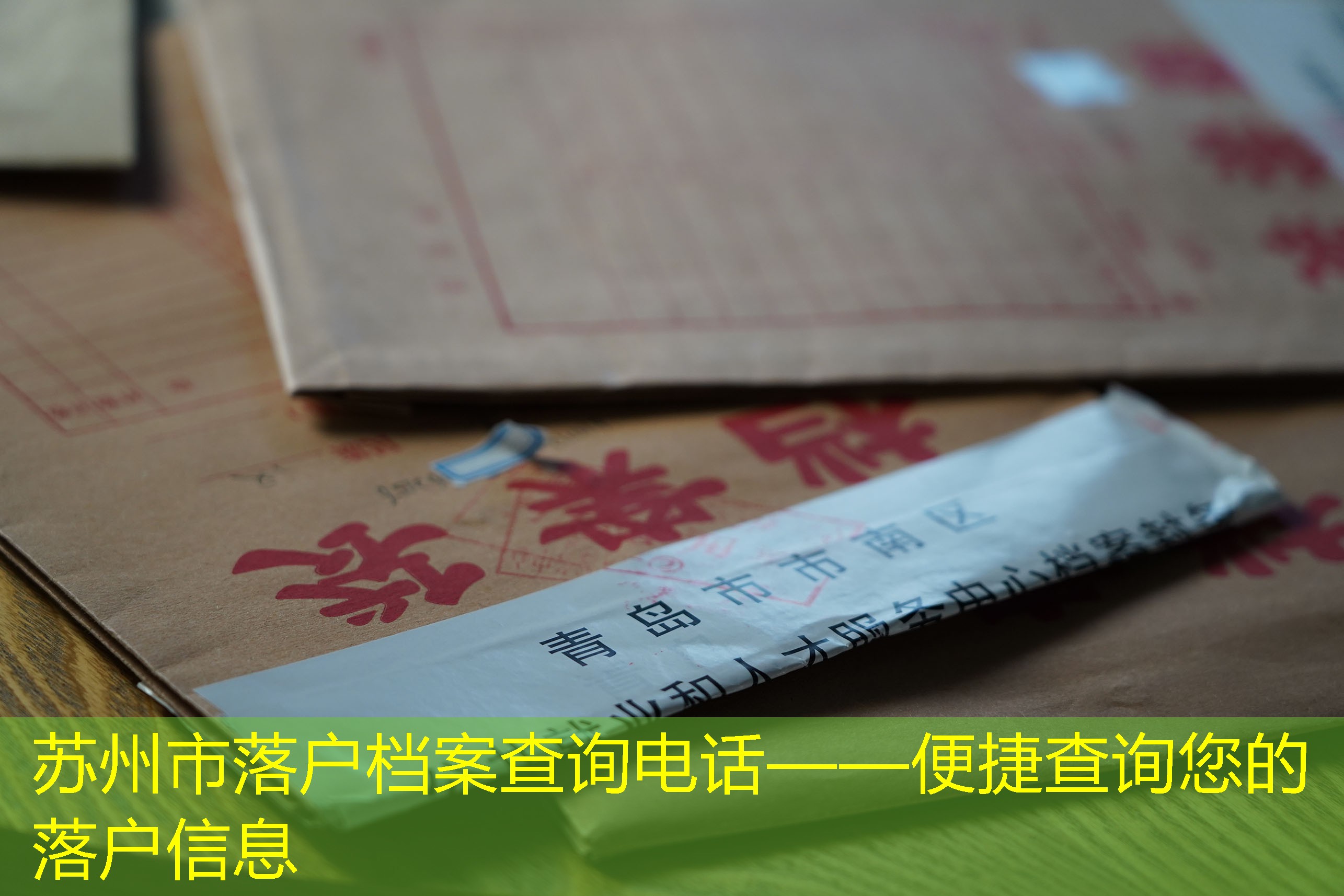 档案查询