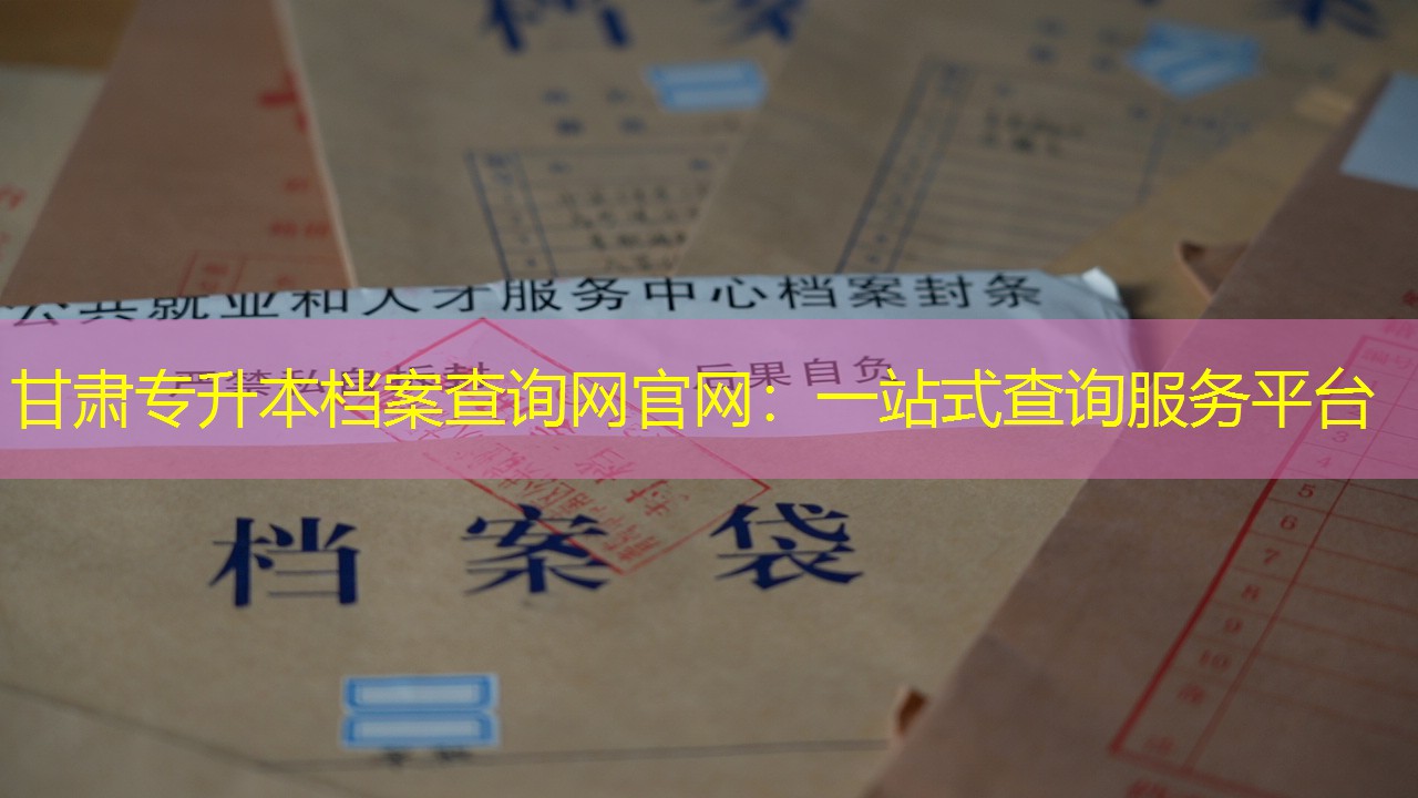 档案查询