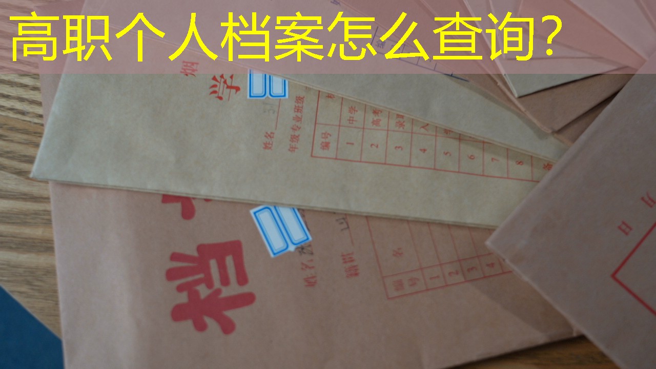 档案查询