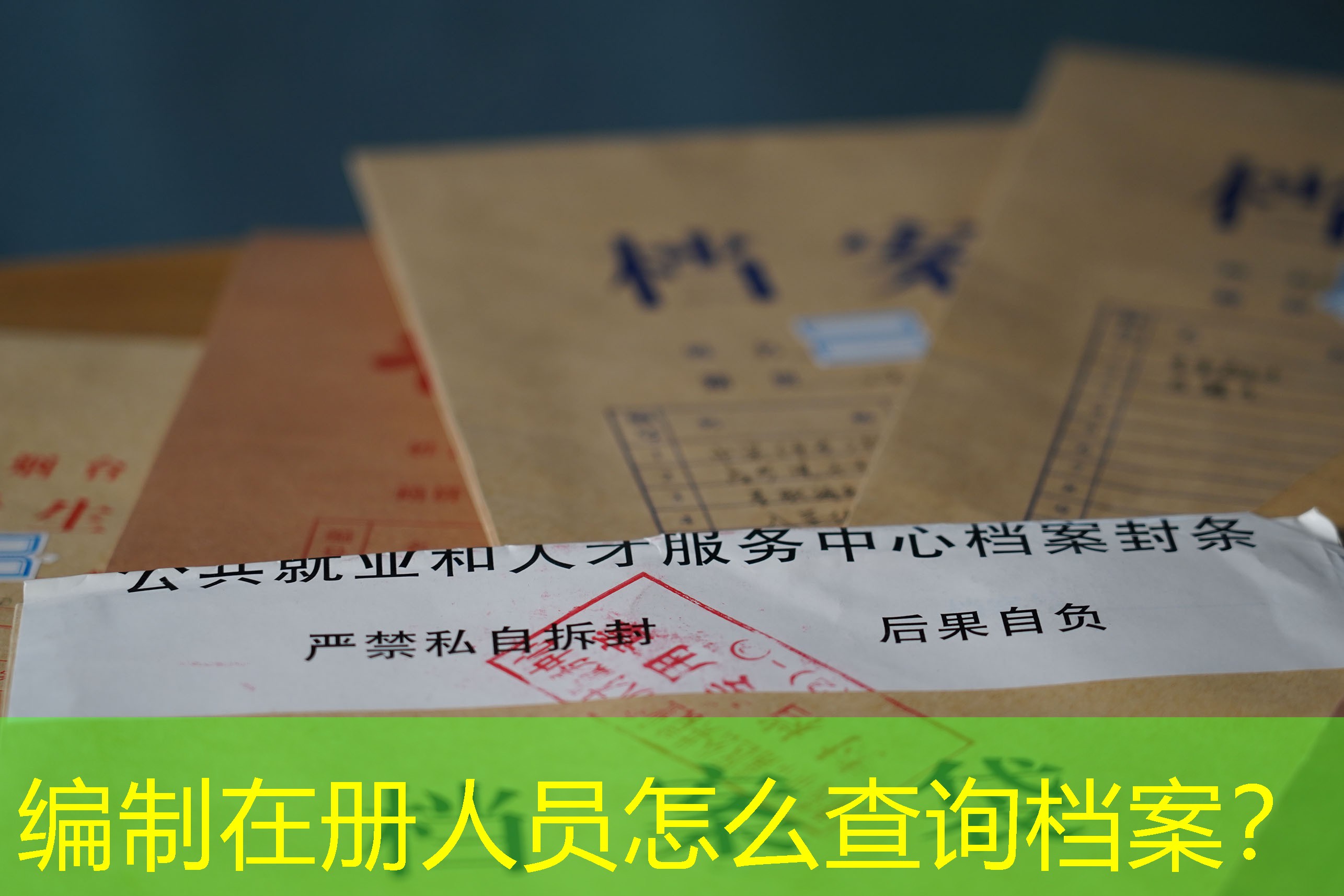 档案查询