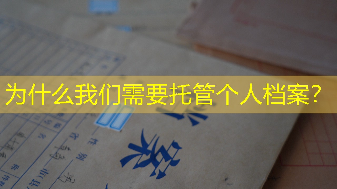 档案查询
