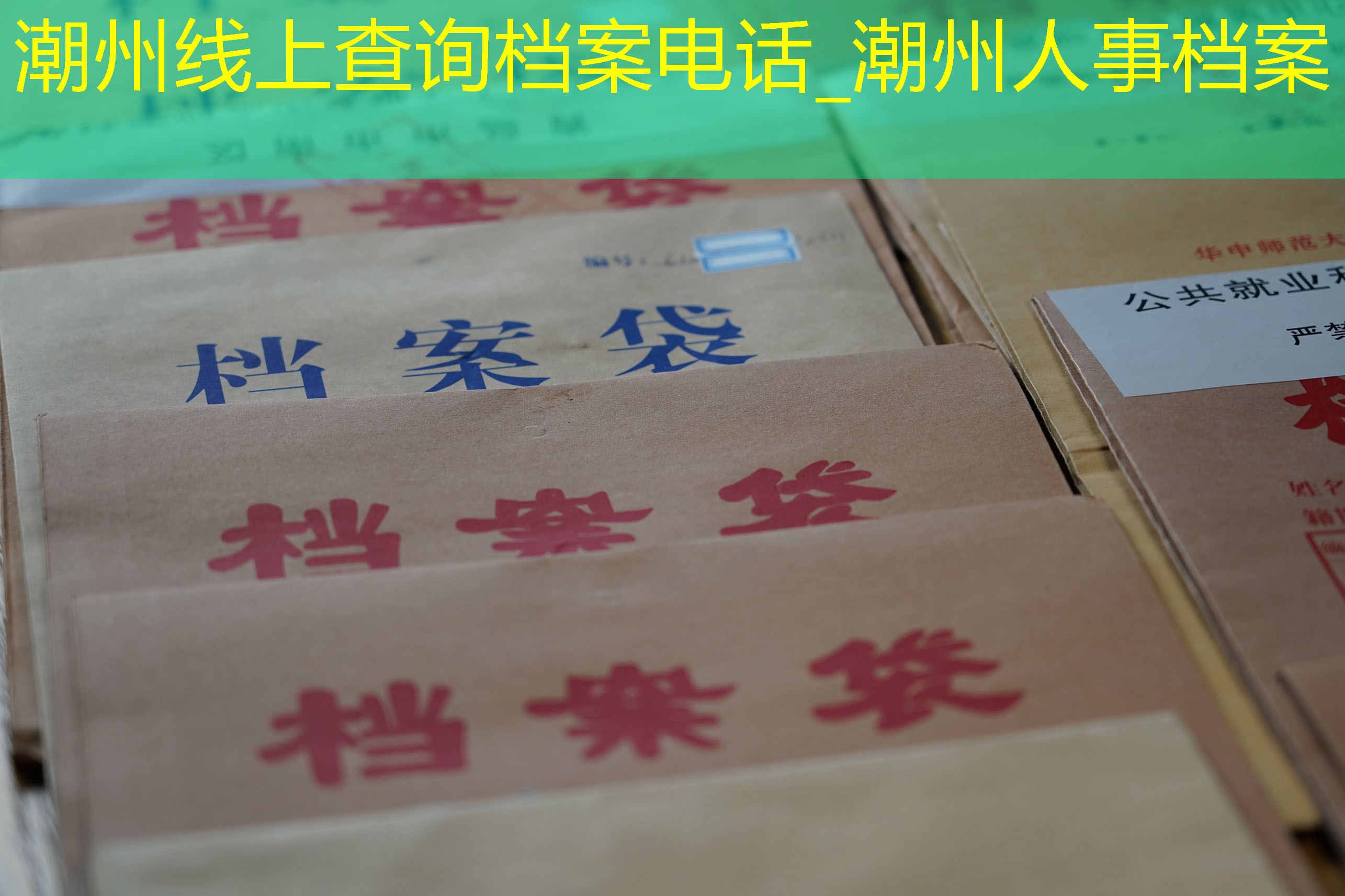 档案查询