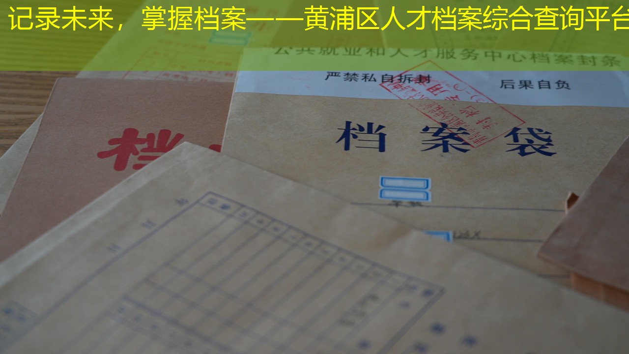档案查询