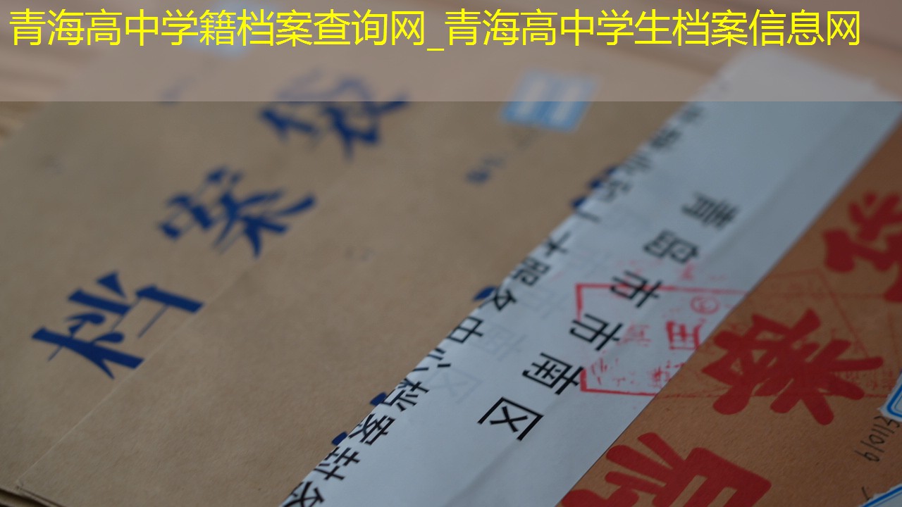 档案查询
