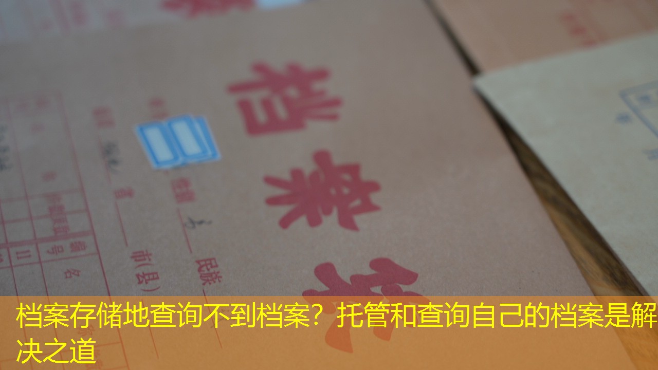 档案查询