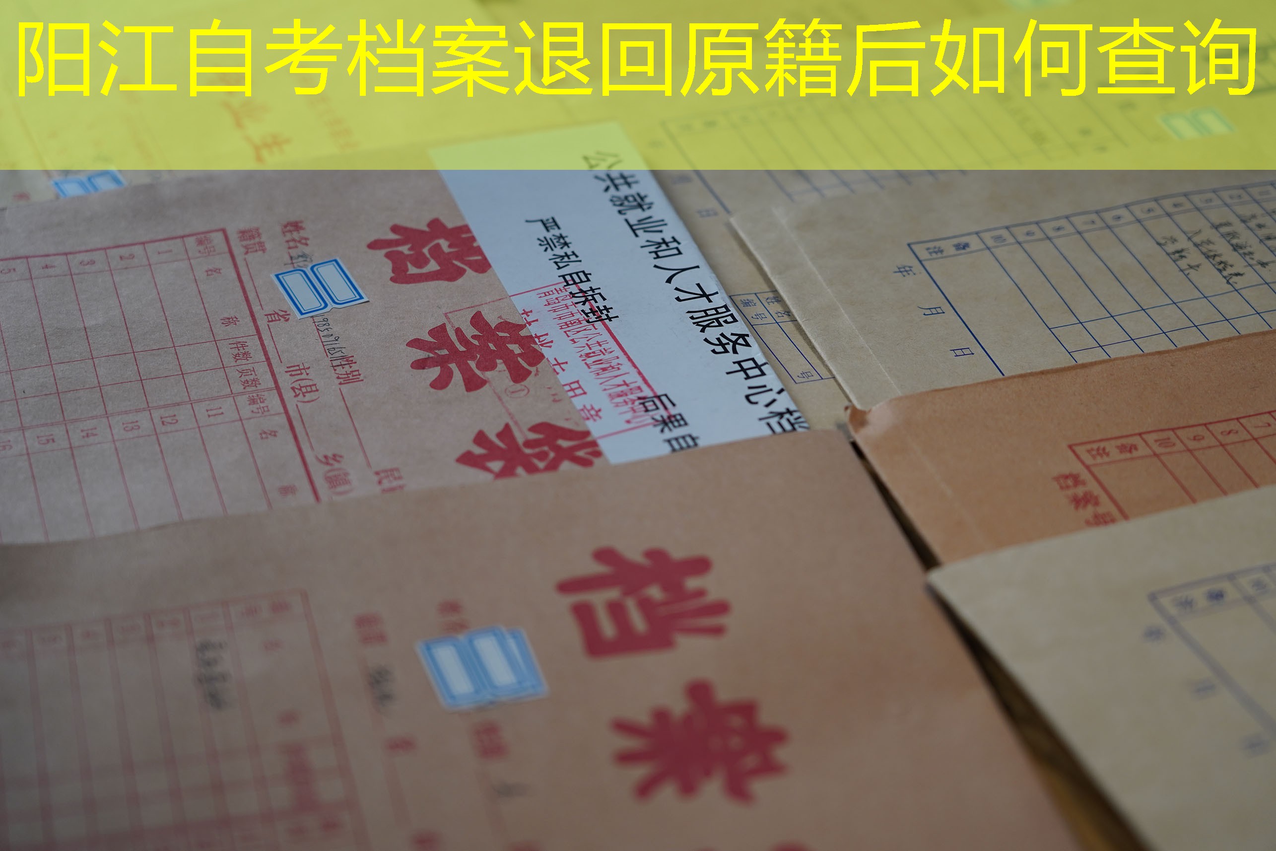 档案查询