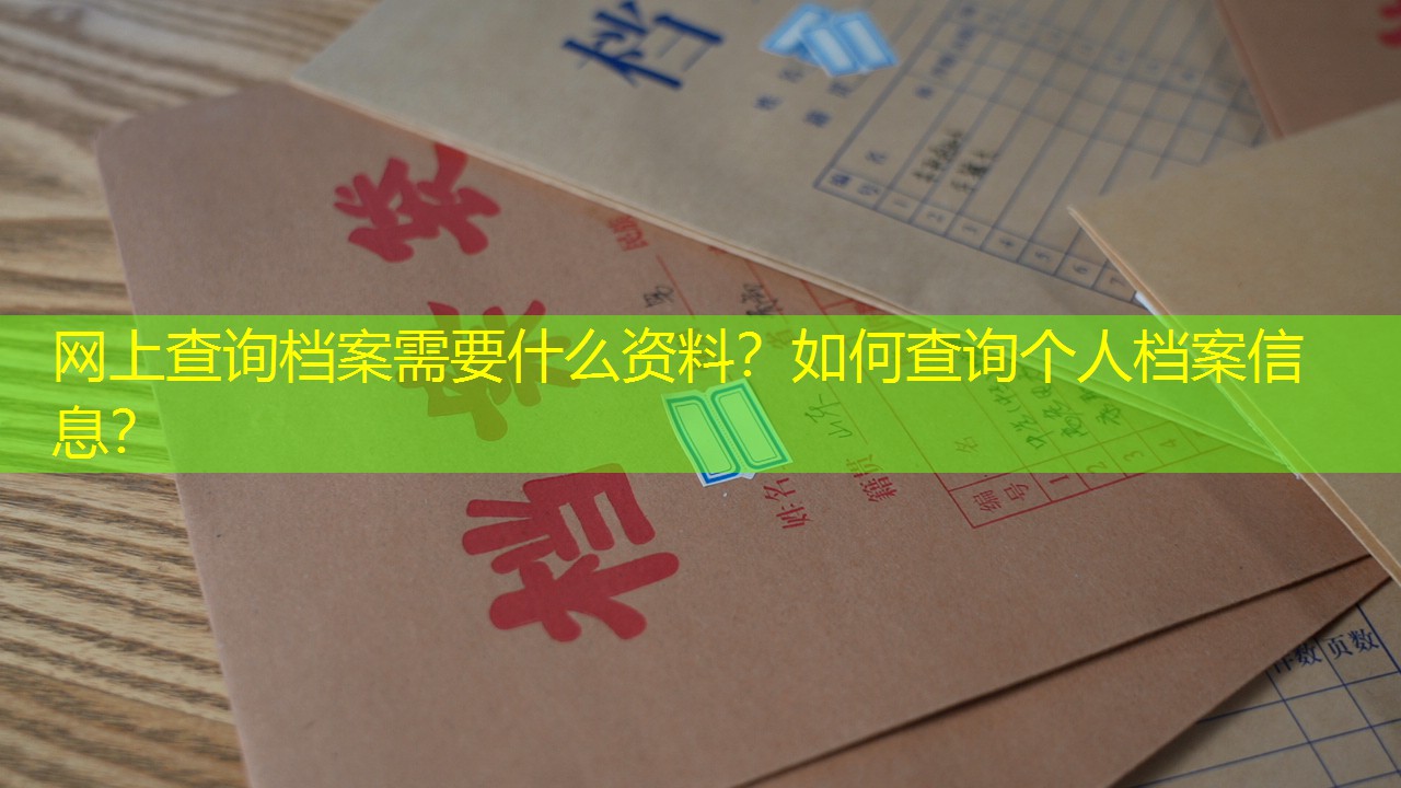 档案查询