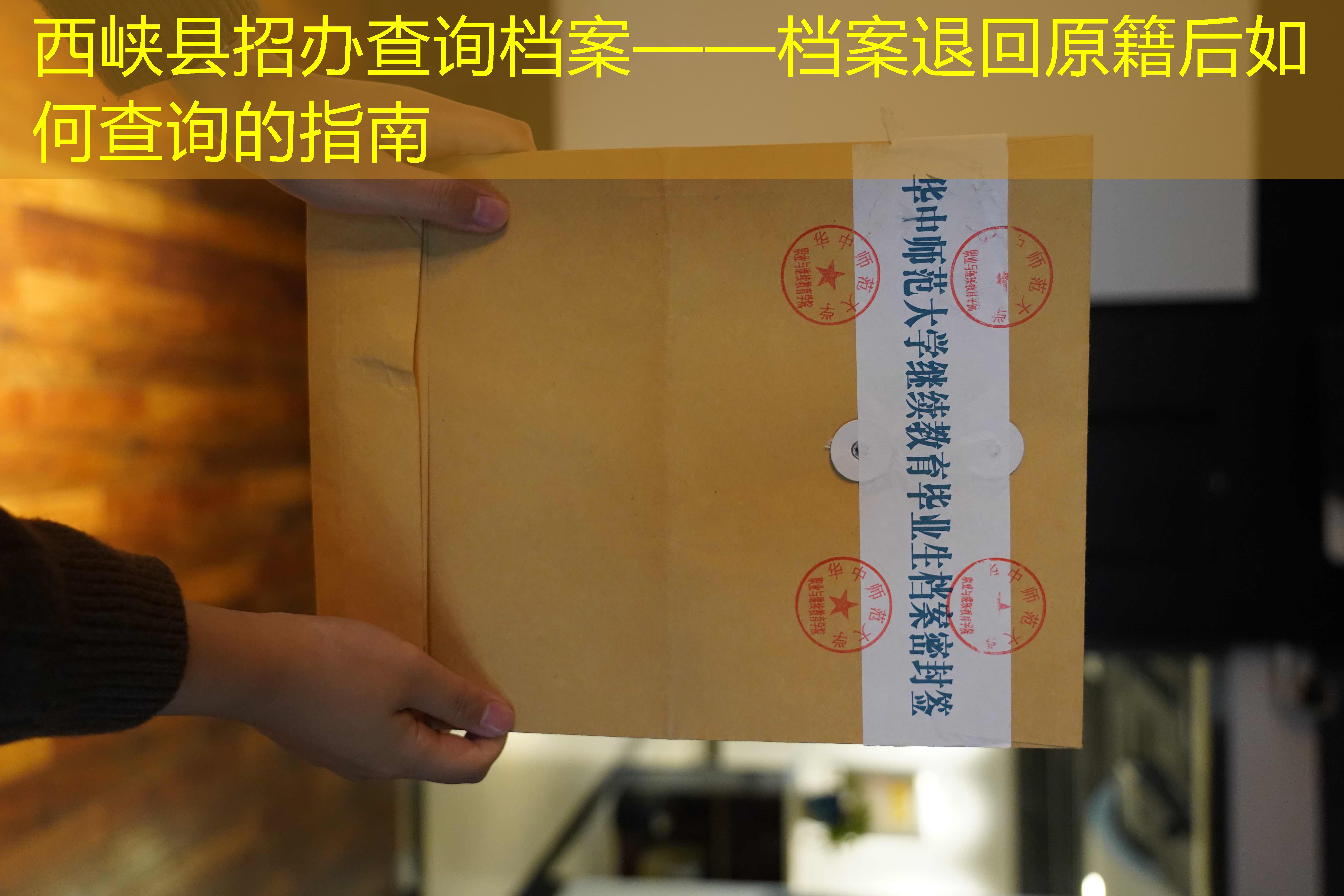 档案查询