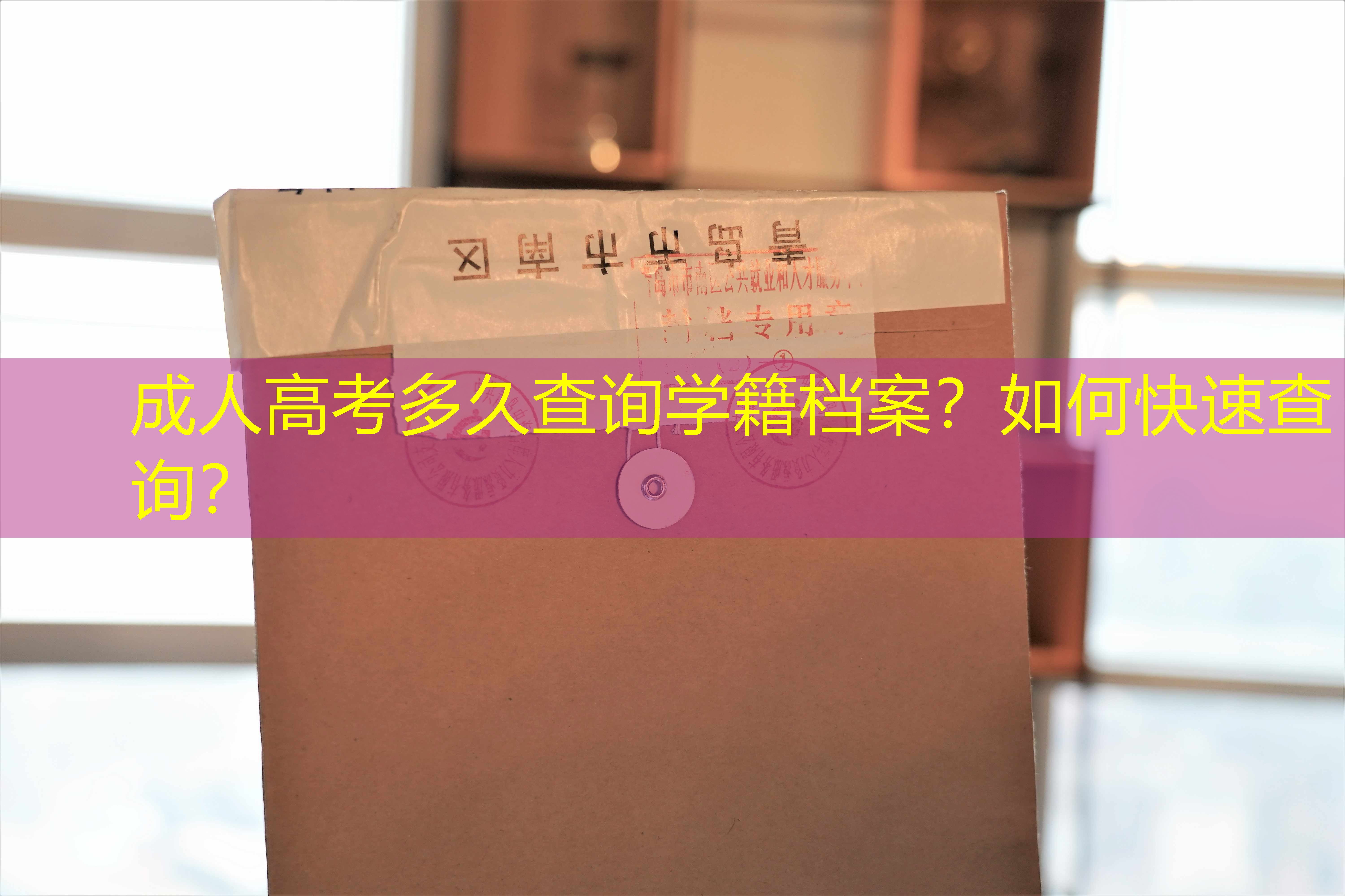 档案查询
