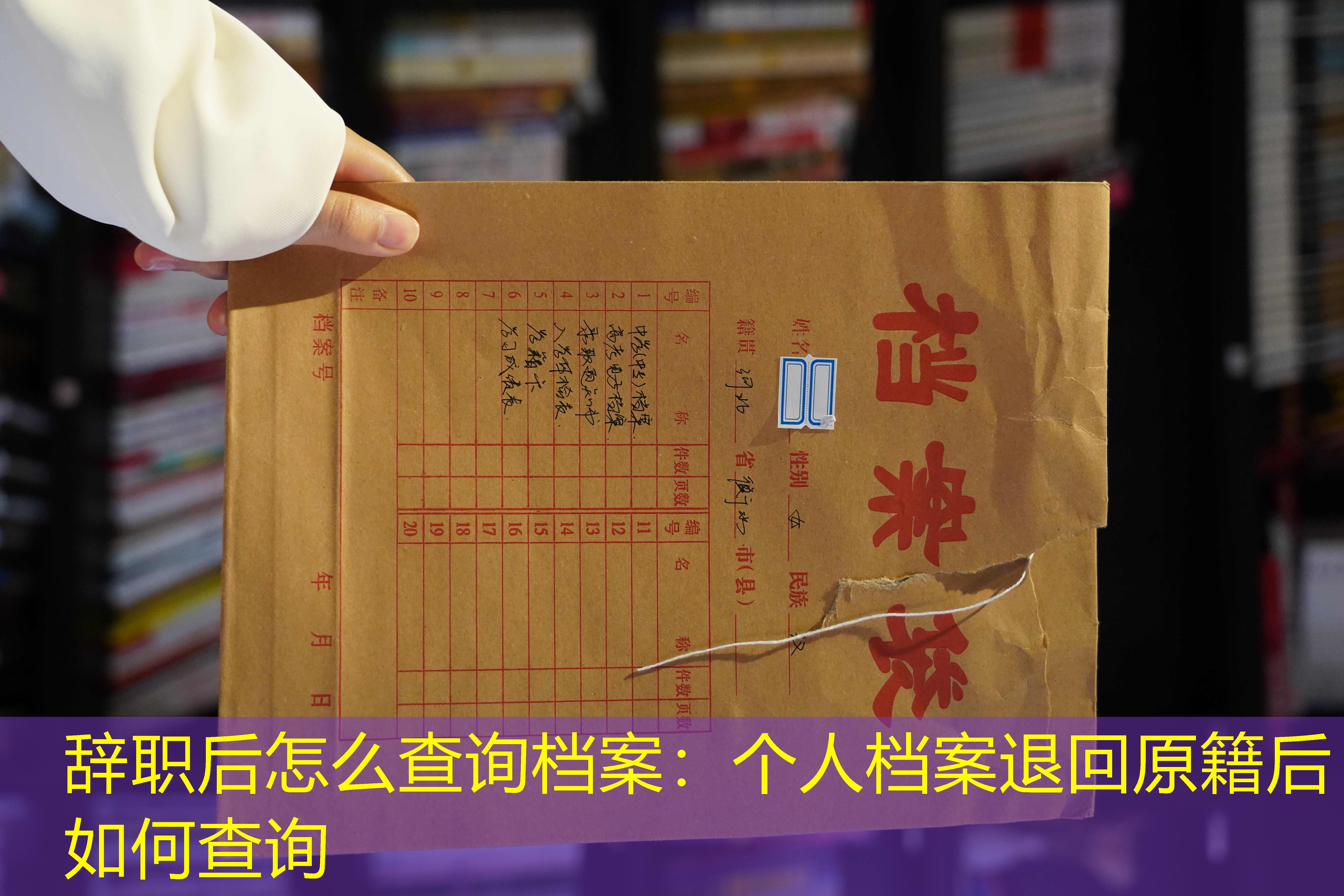 档案查询