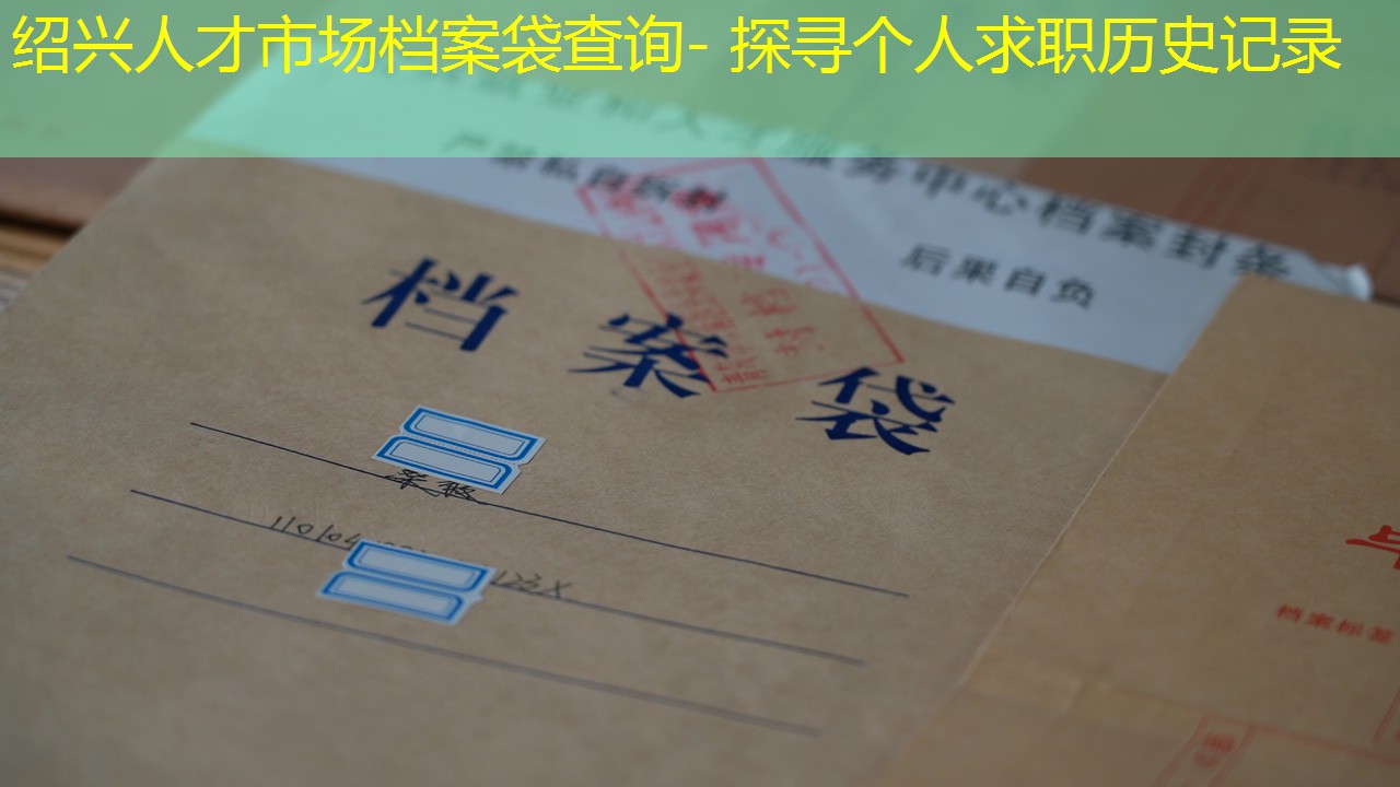 档案查询