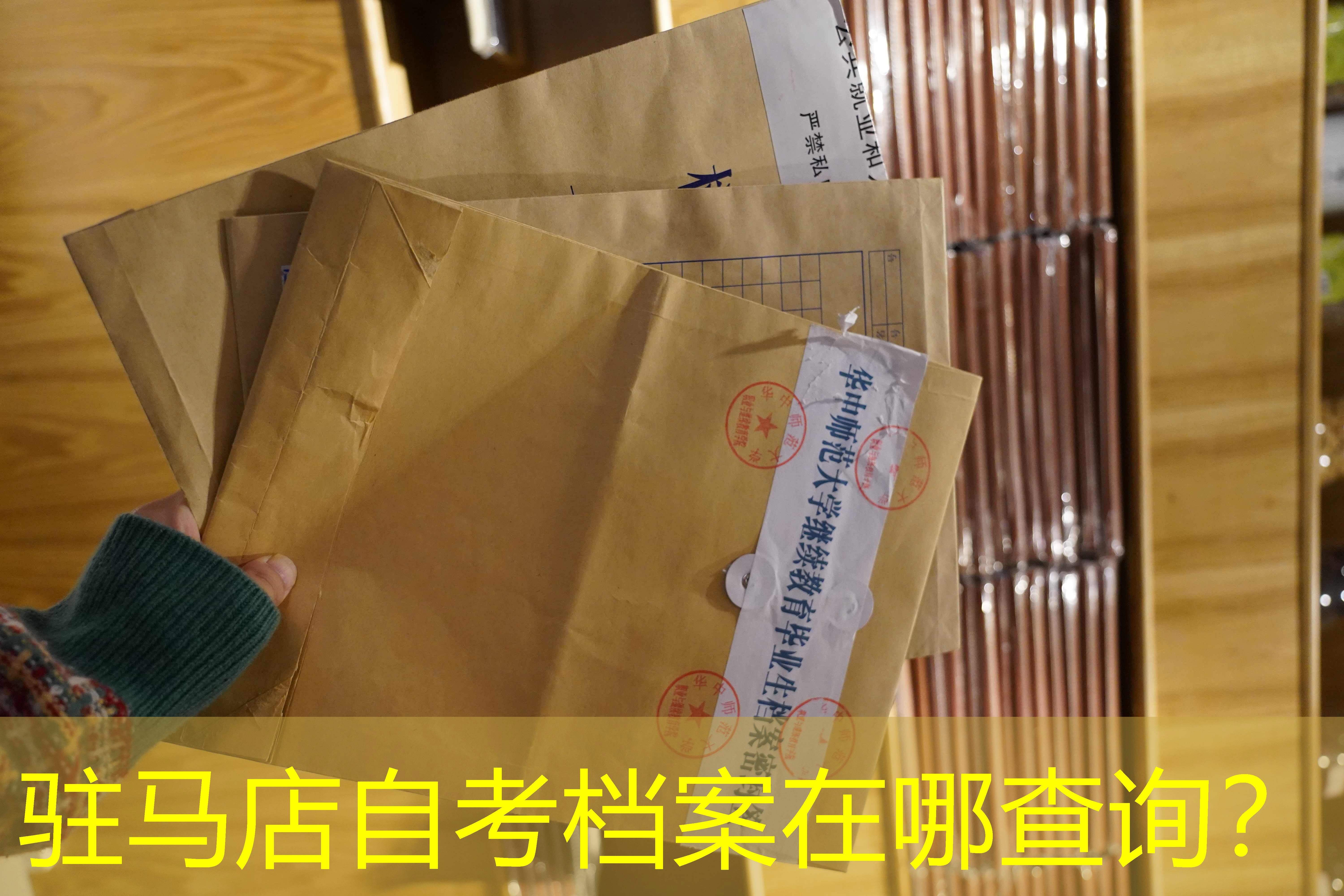 档案查询