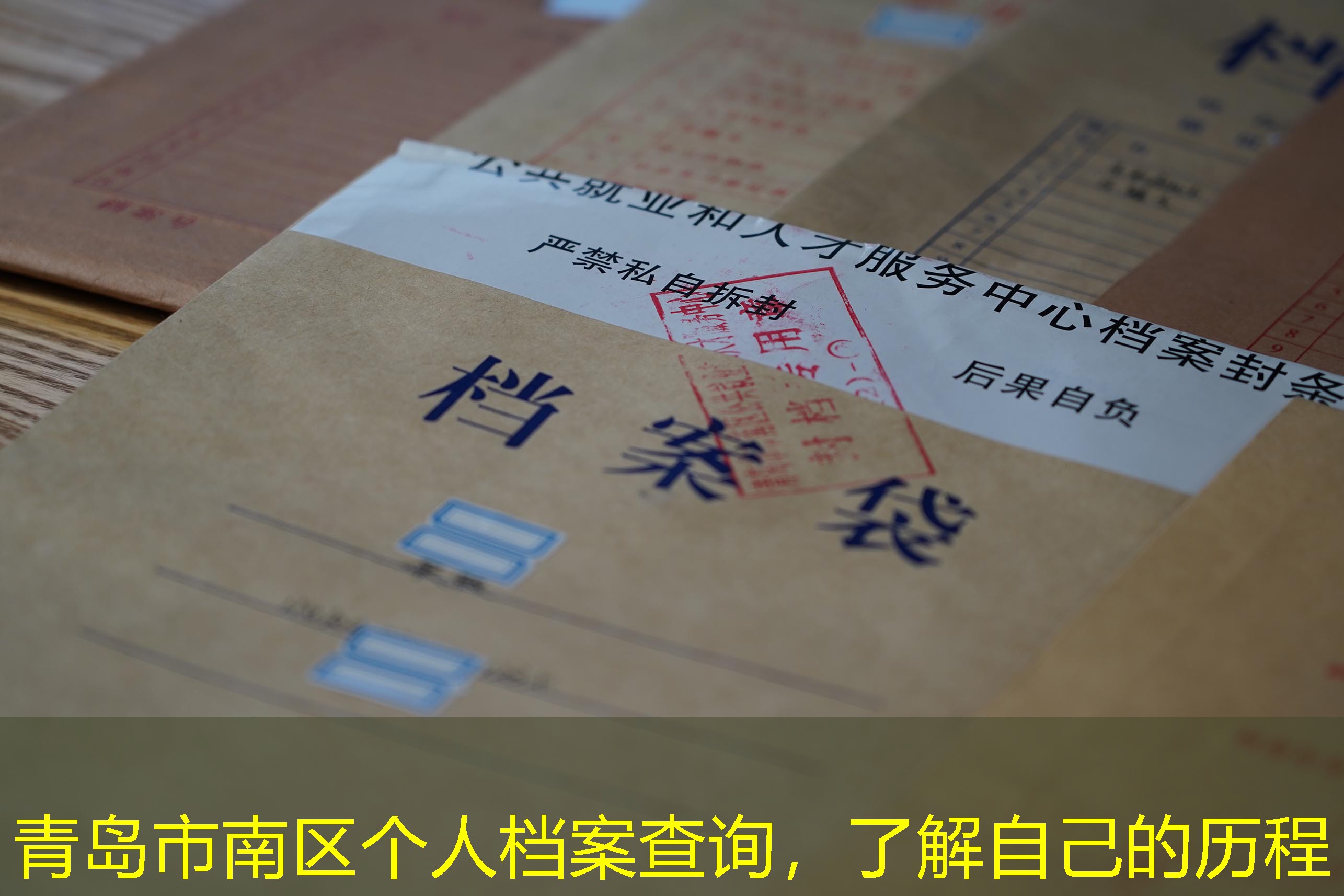 档案查询