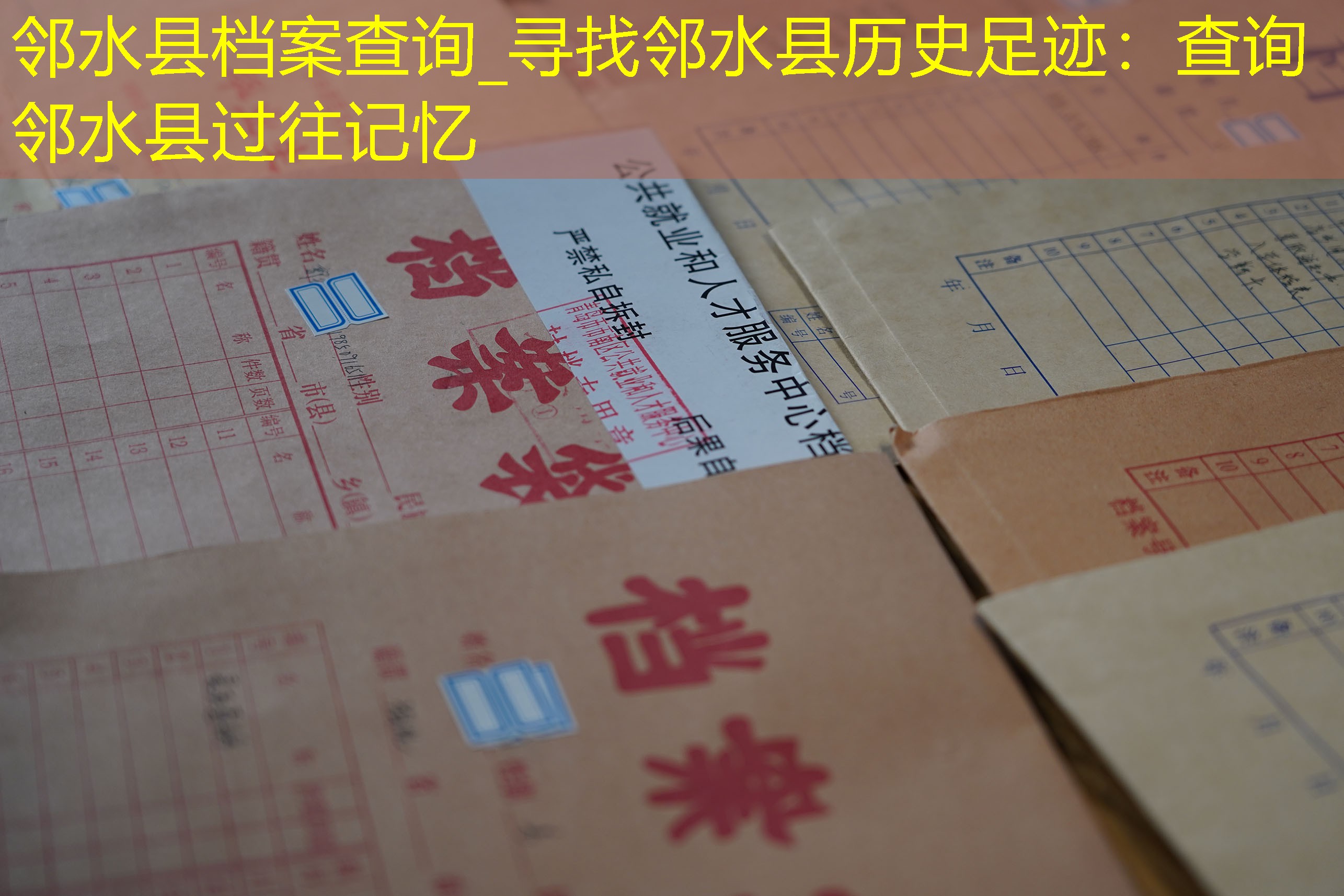 档案查询