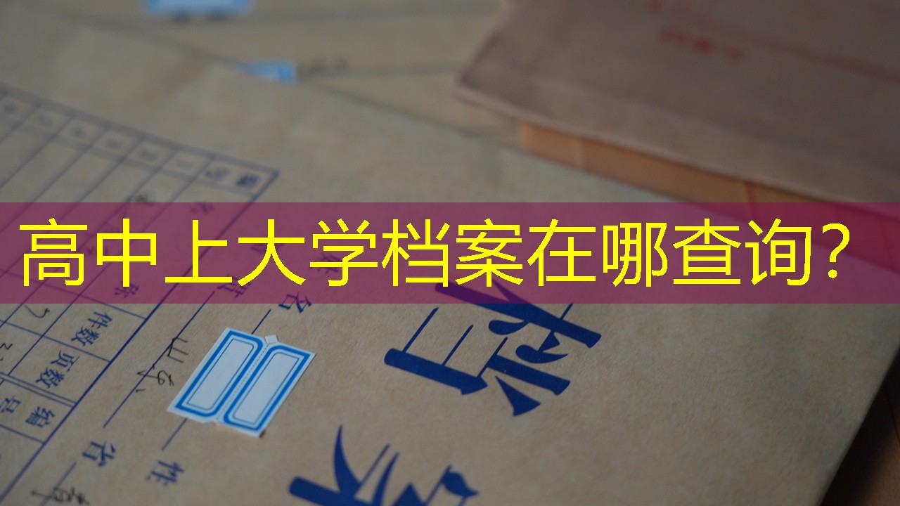 档案查询