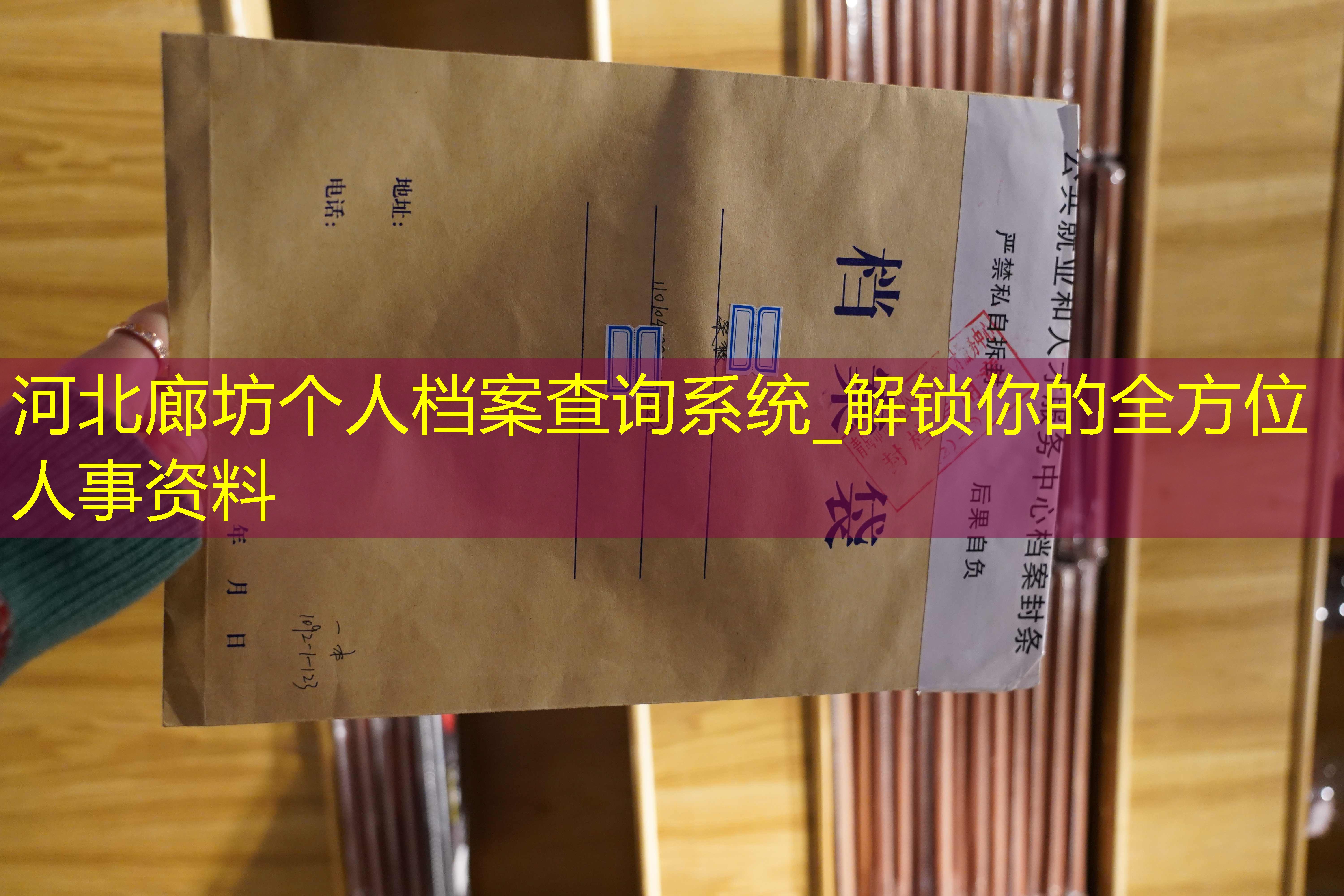 档案查询