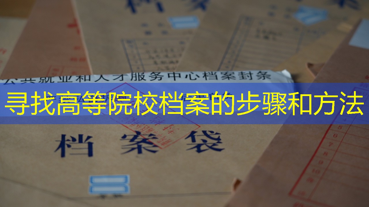 档案查询
