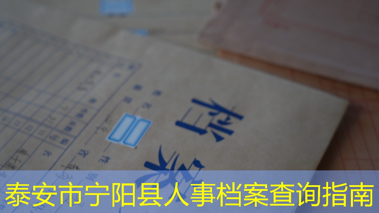 档案查询