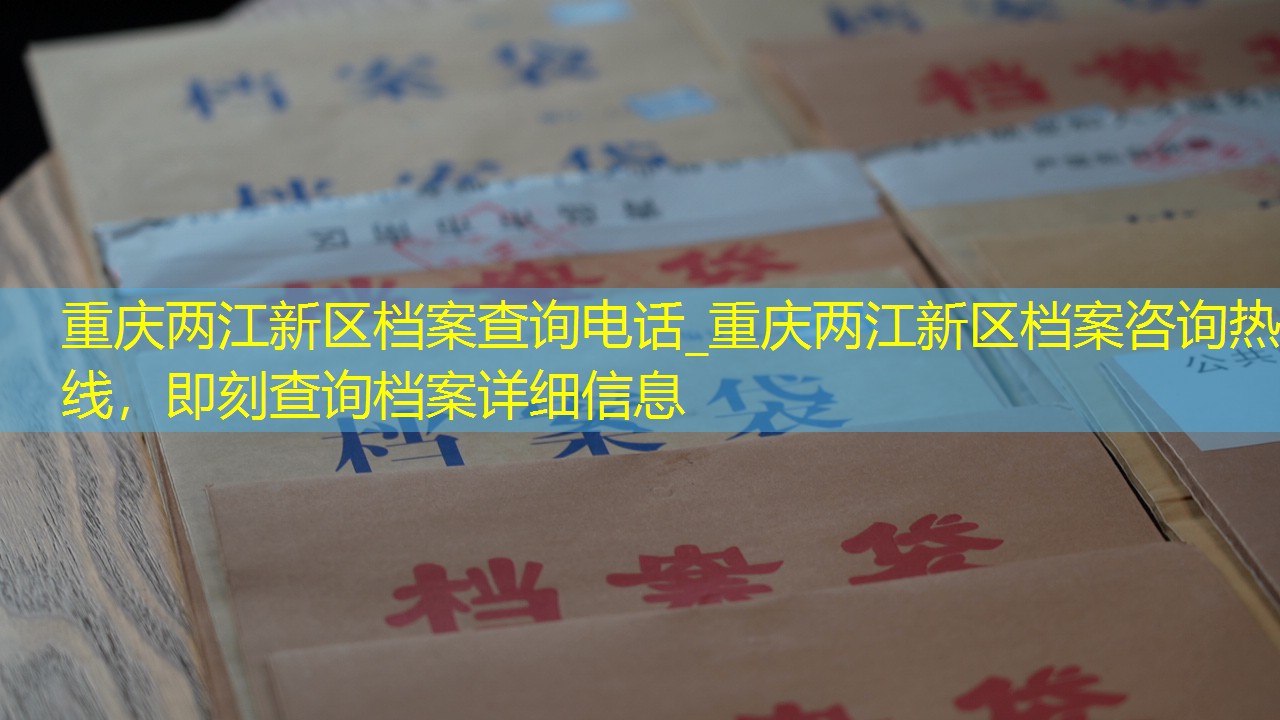 档案查询
