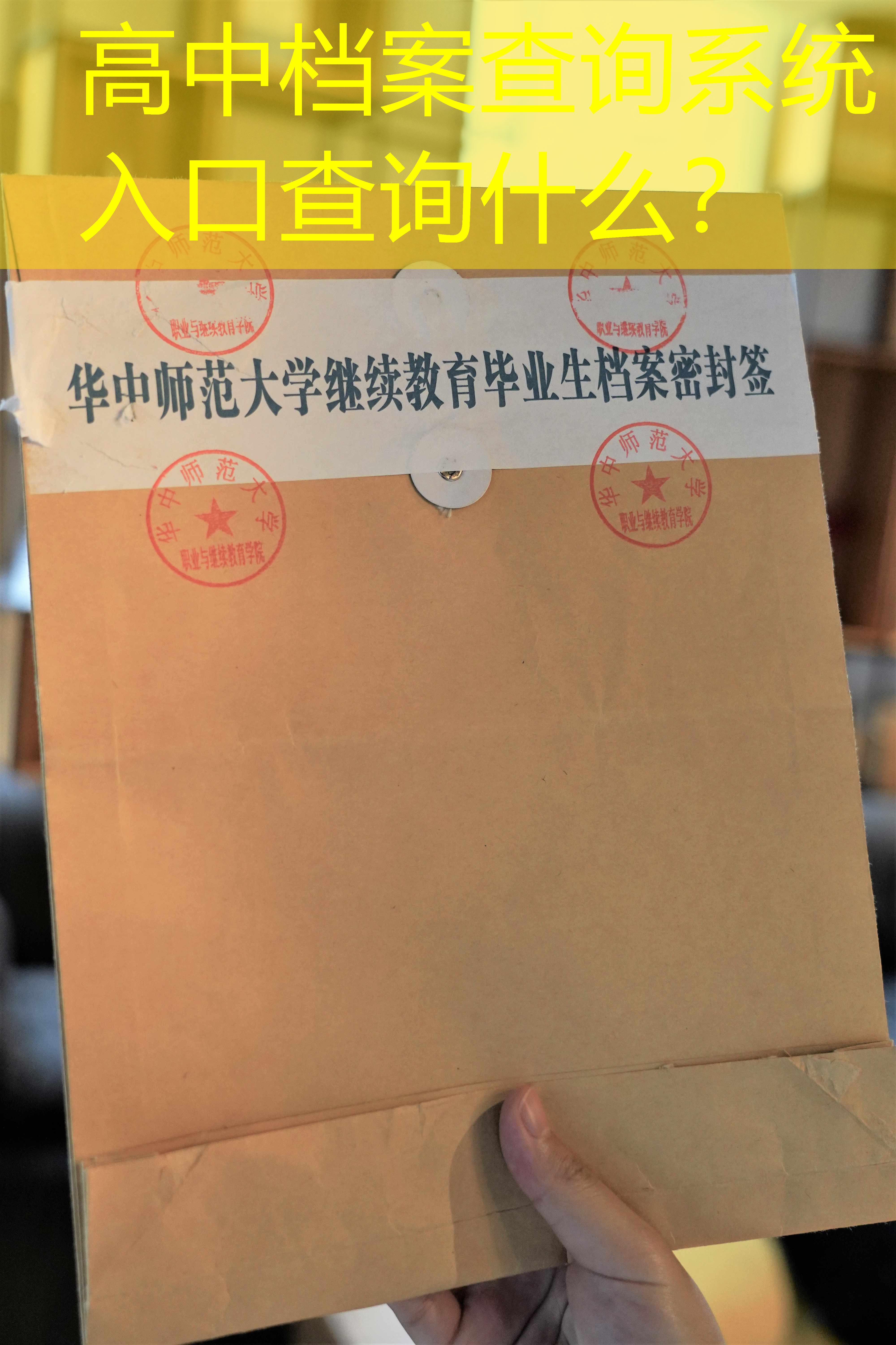 档案查询