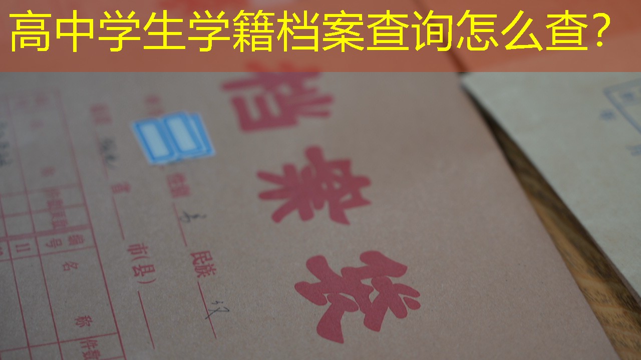 档案查询