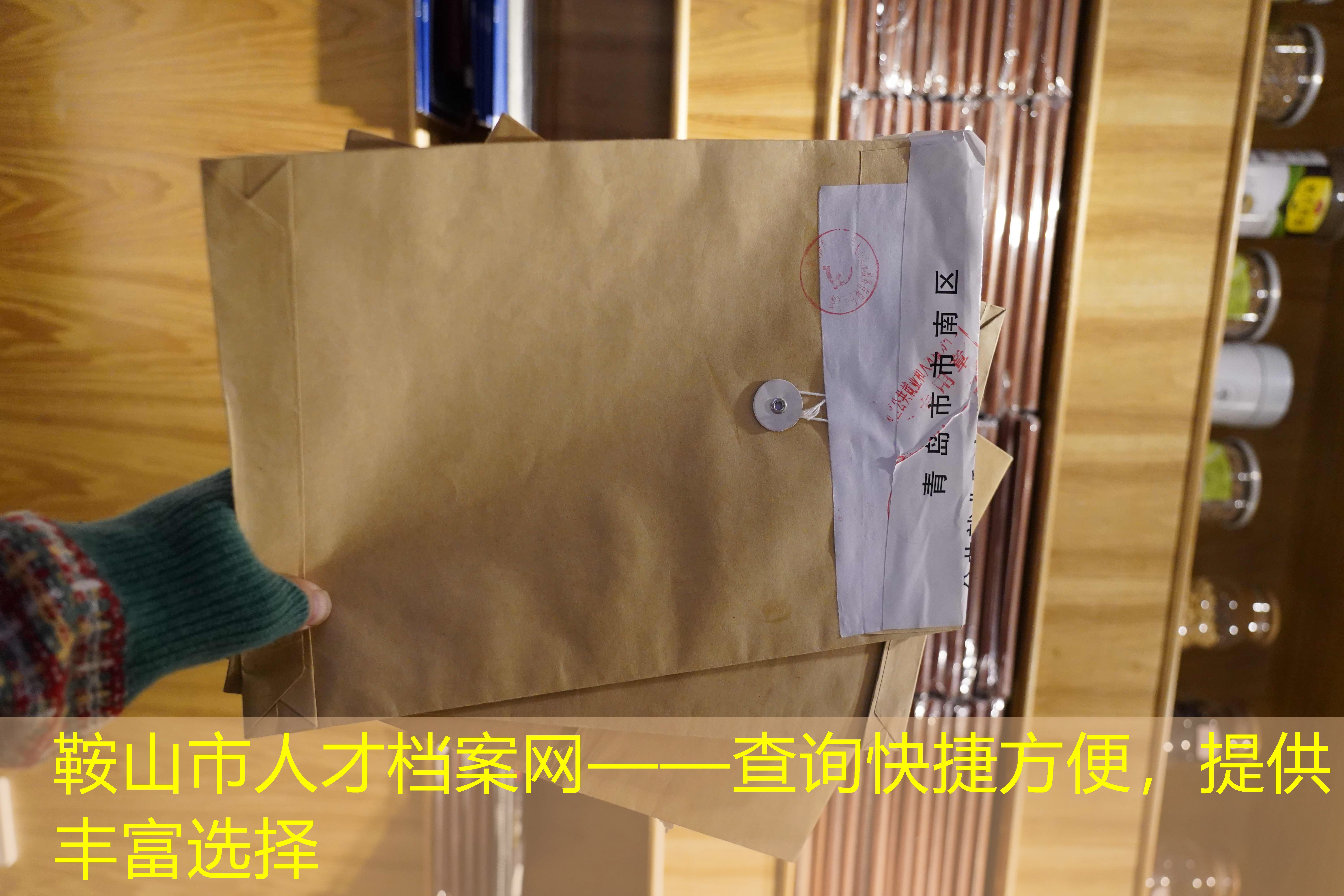 档案查询