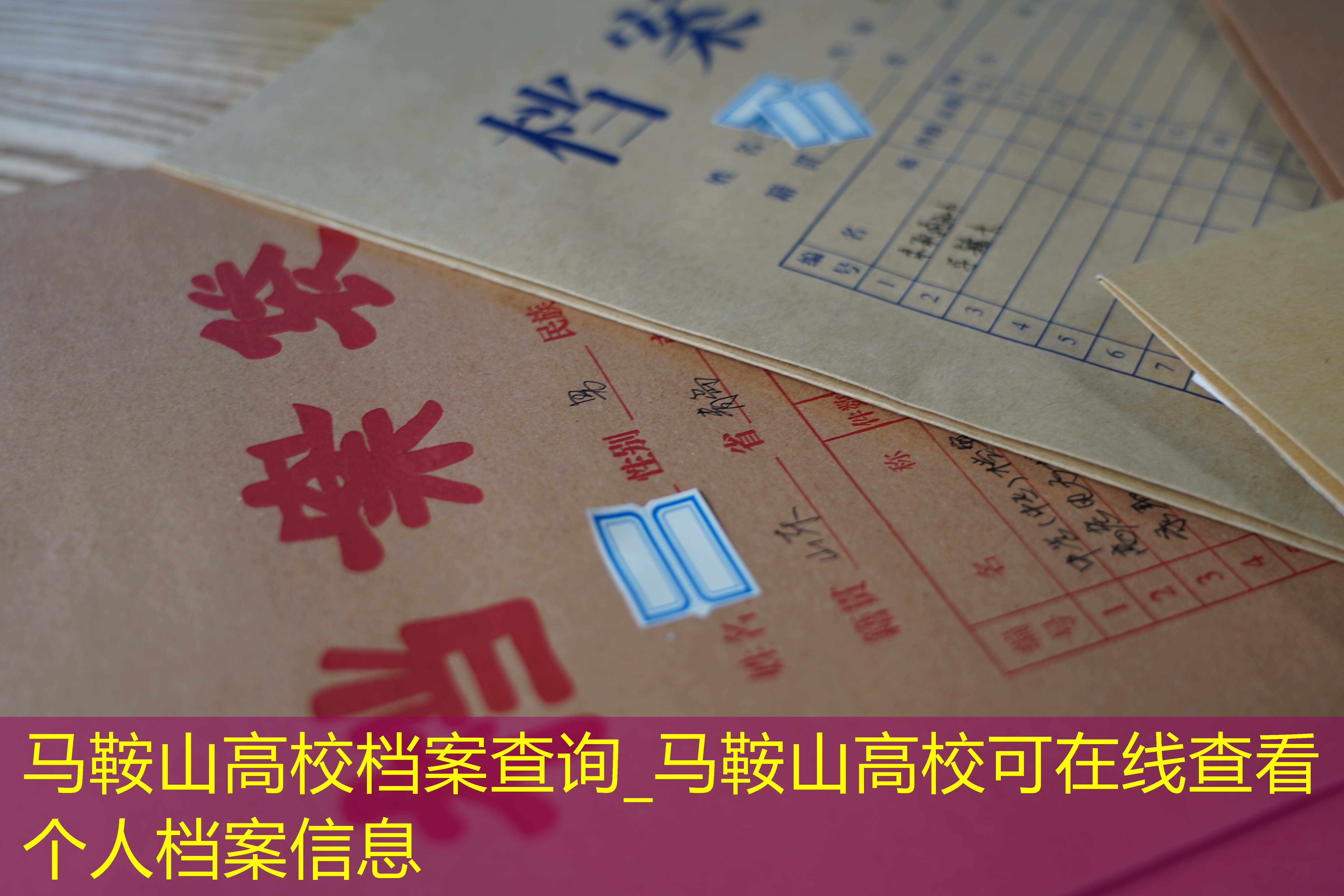 档案查询