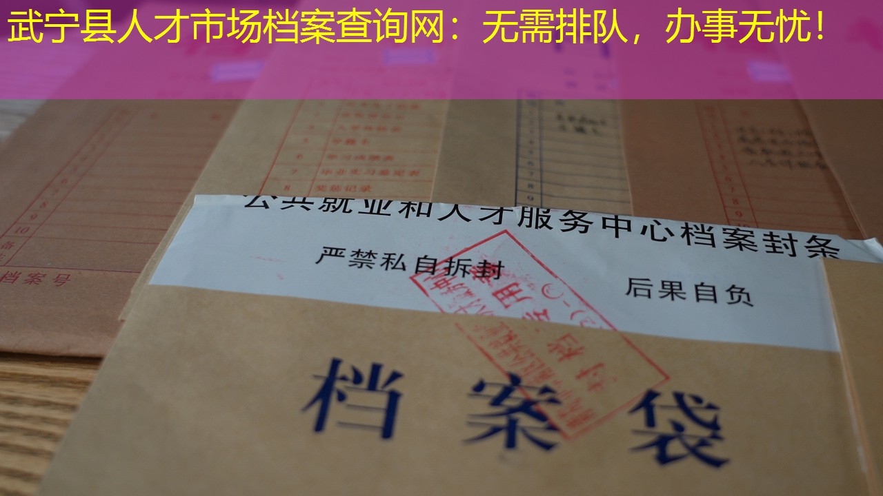 档案查询