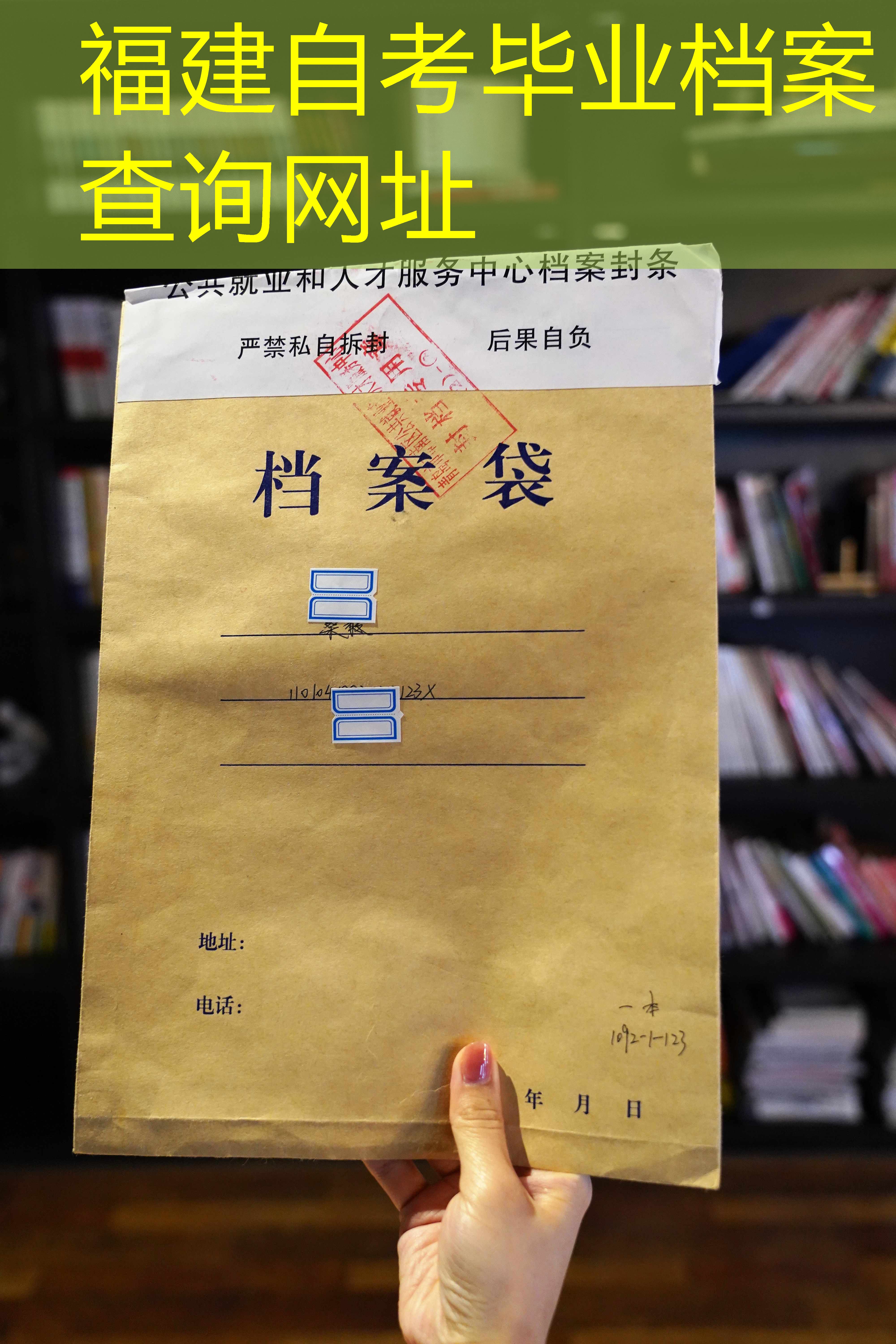 档案查询