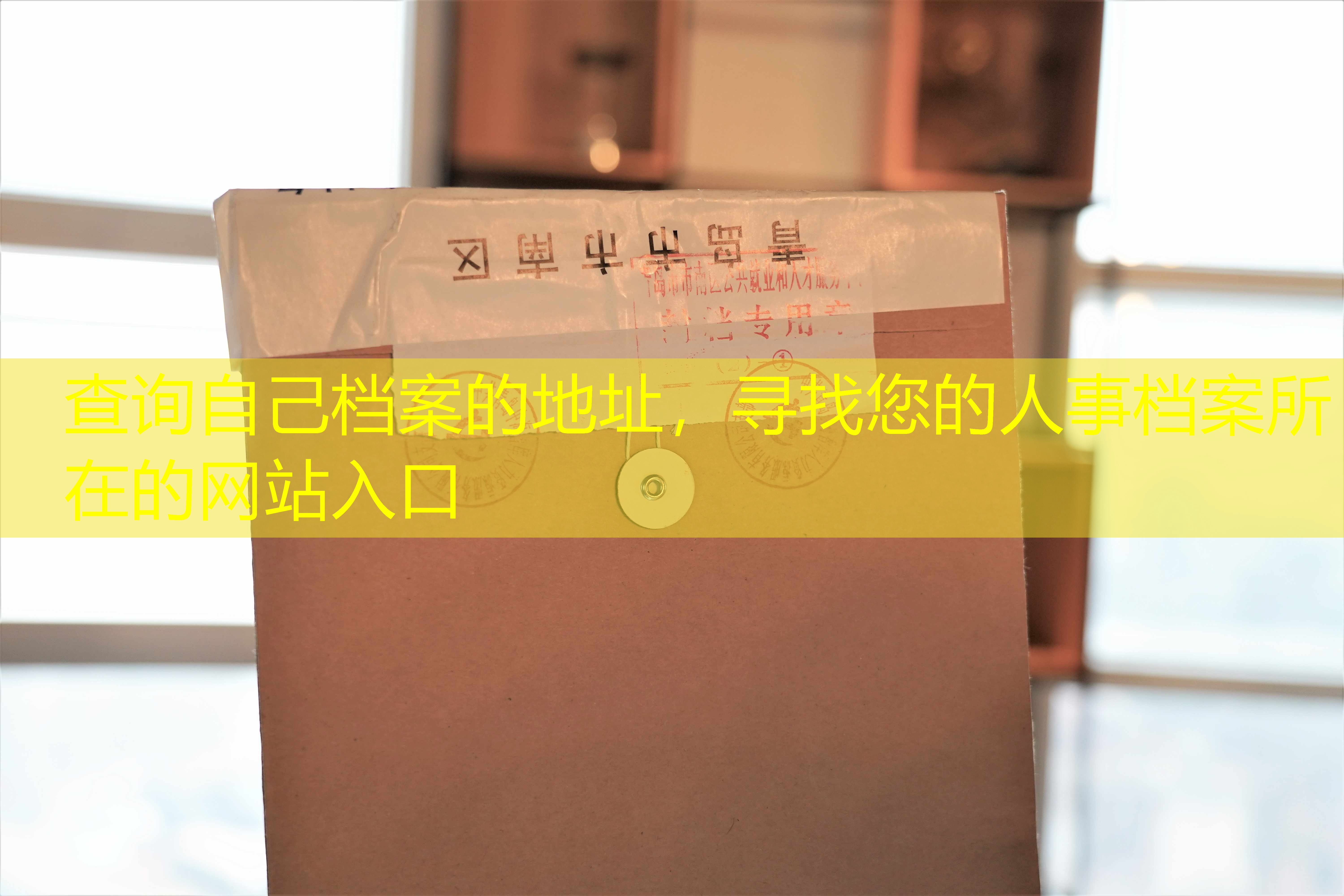 档案查询
