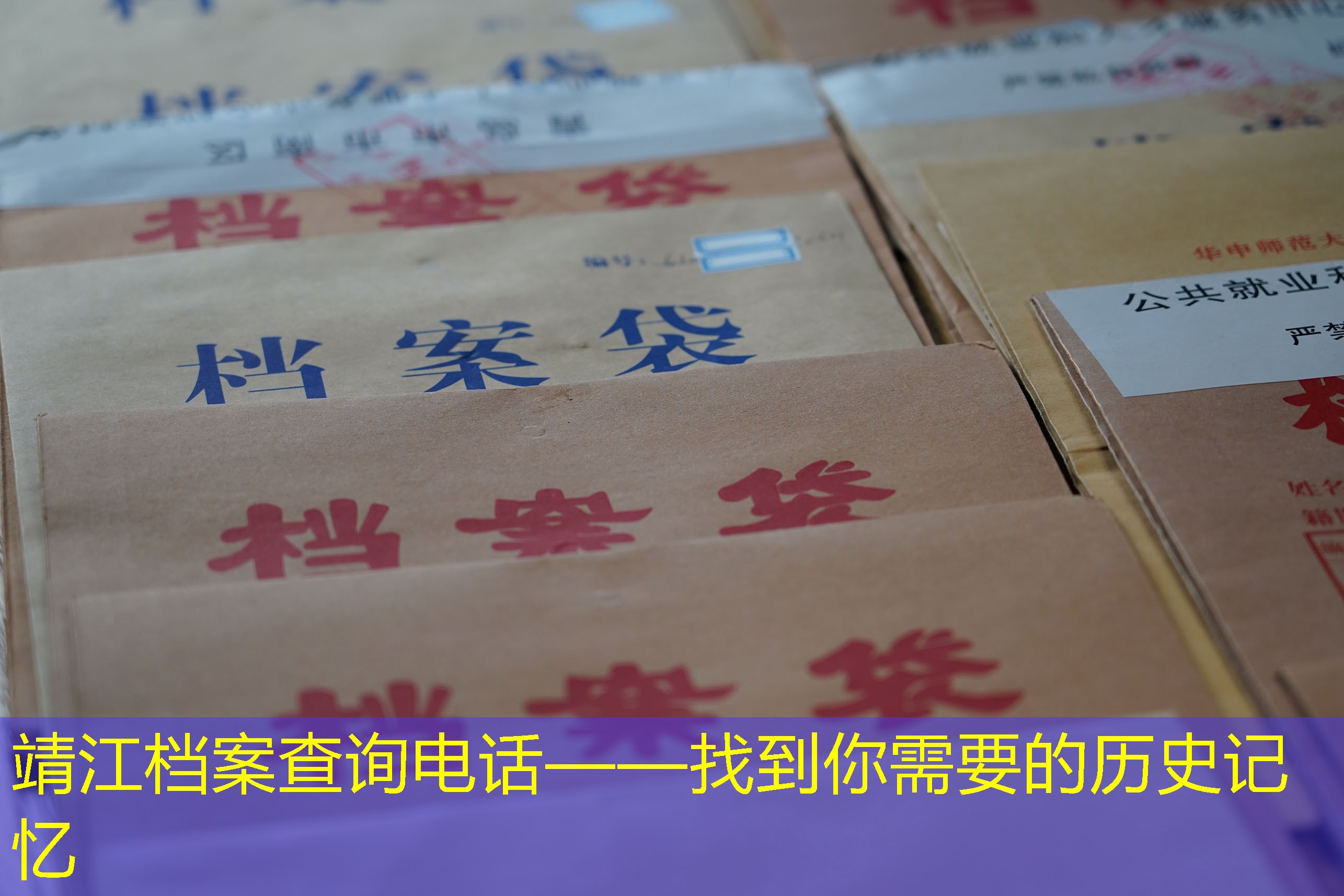 档案查询