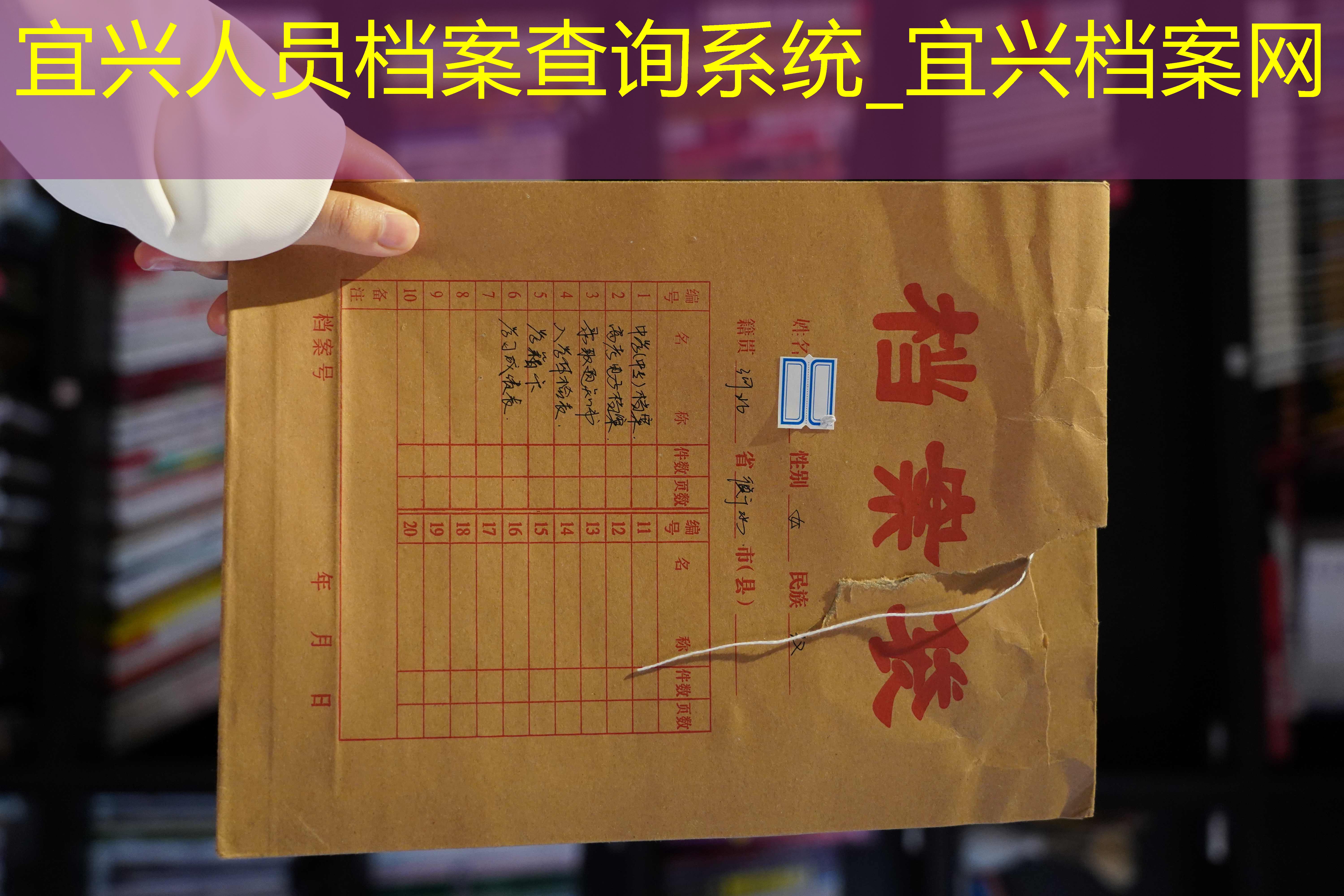 档案查询