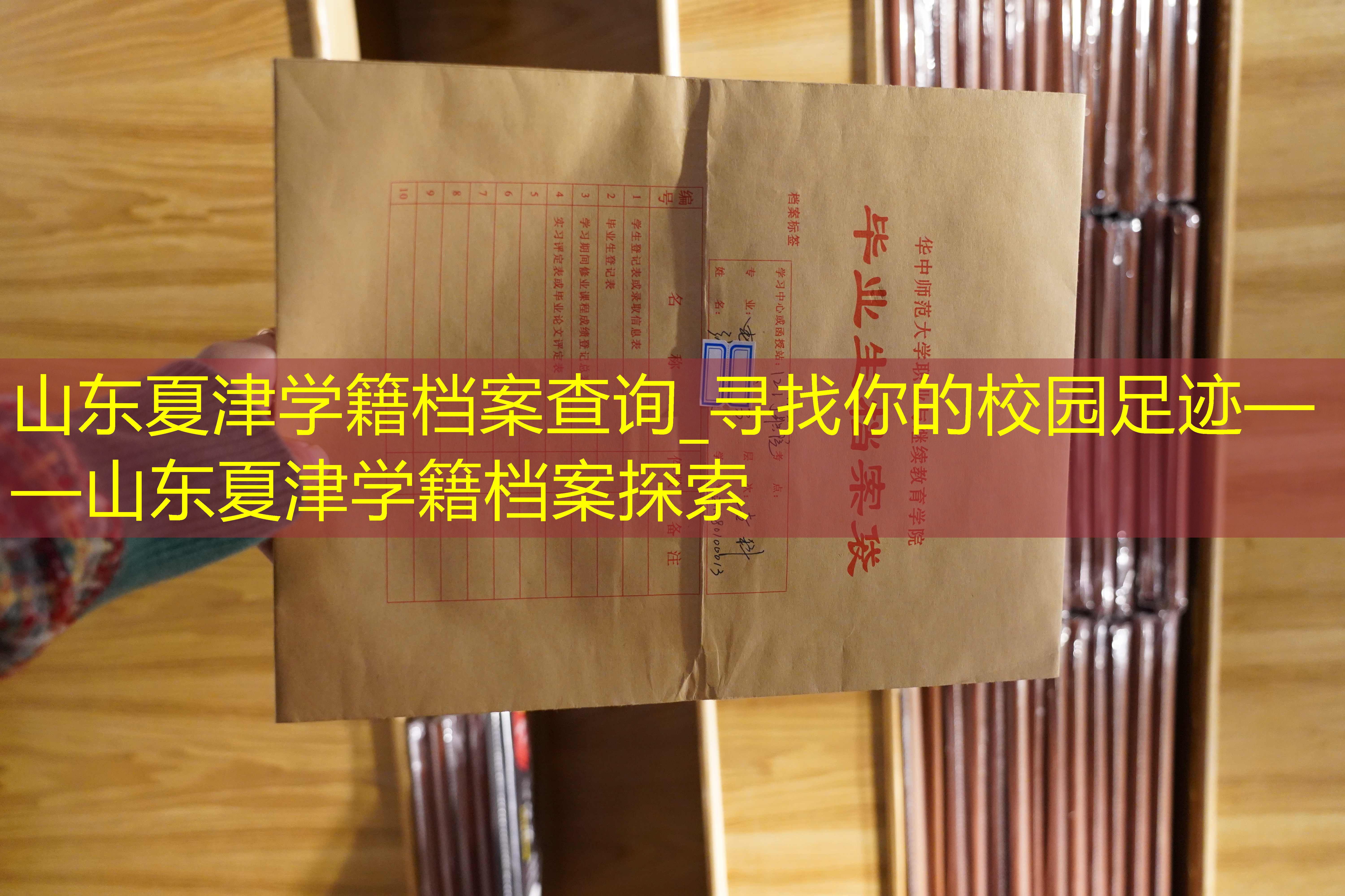 档案查询