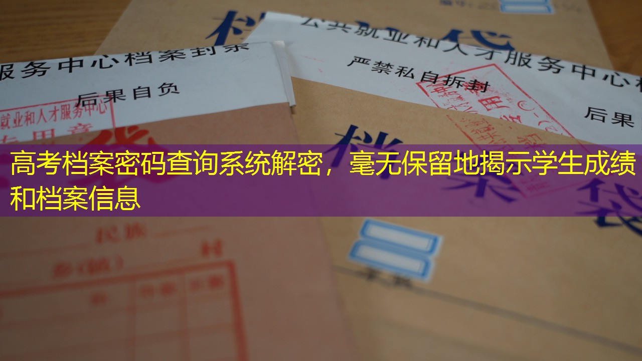 档案查询