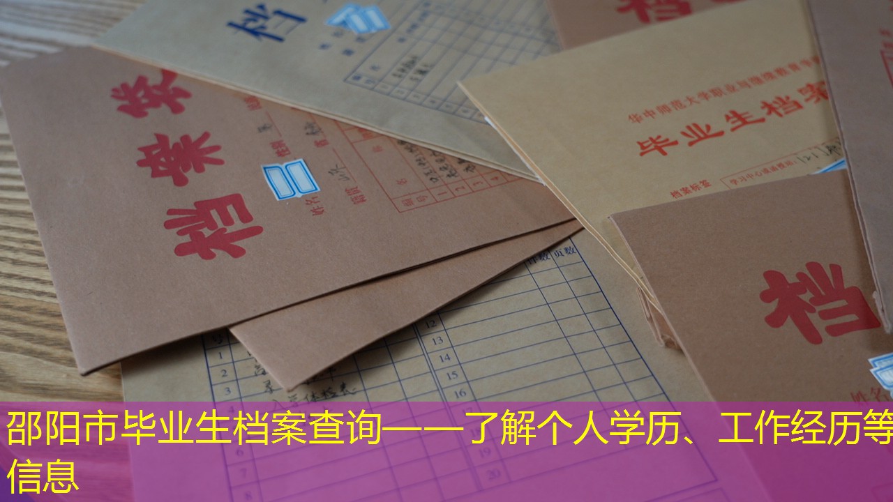 档案查询