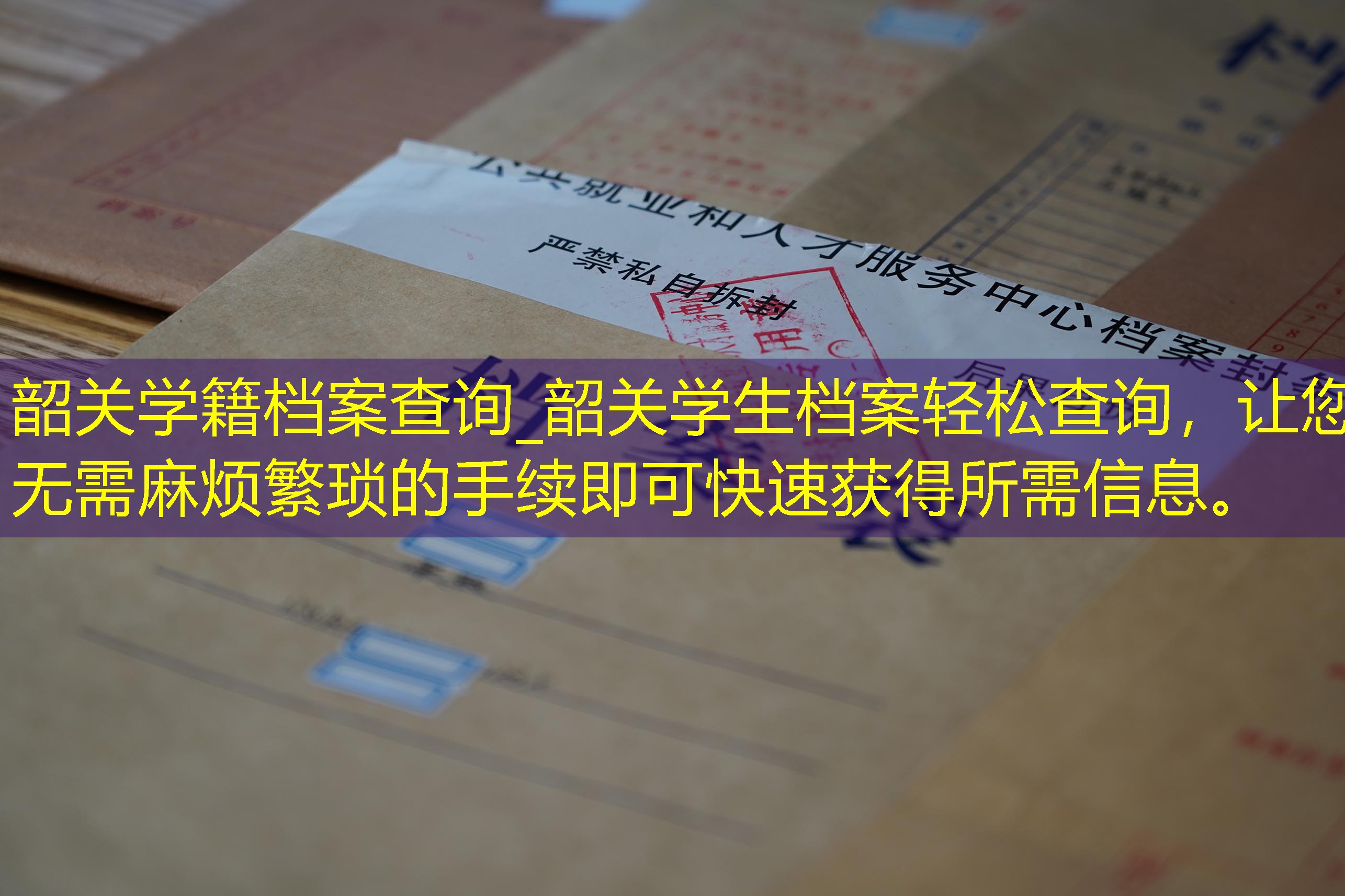 档案查询