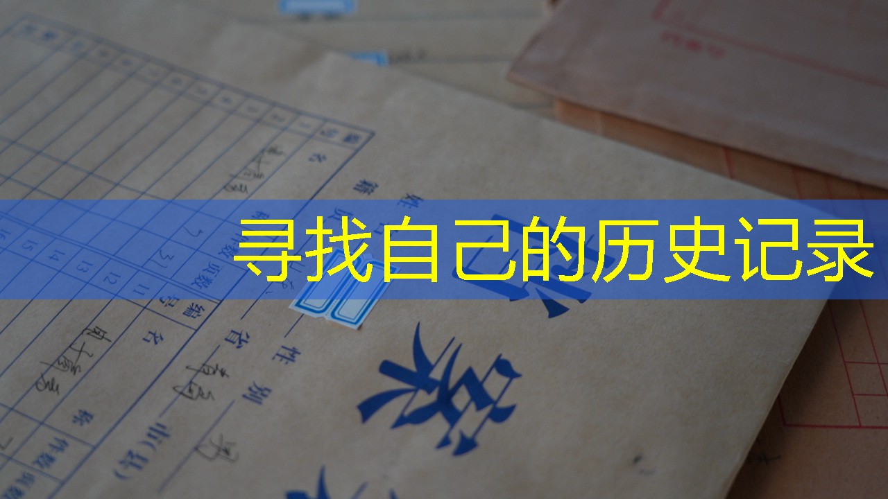 档案查询