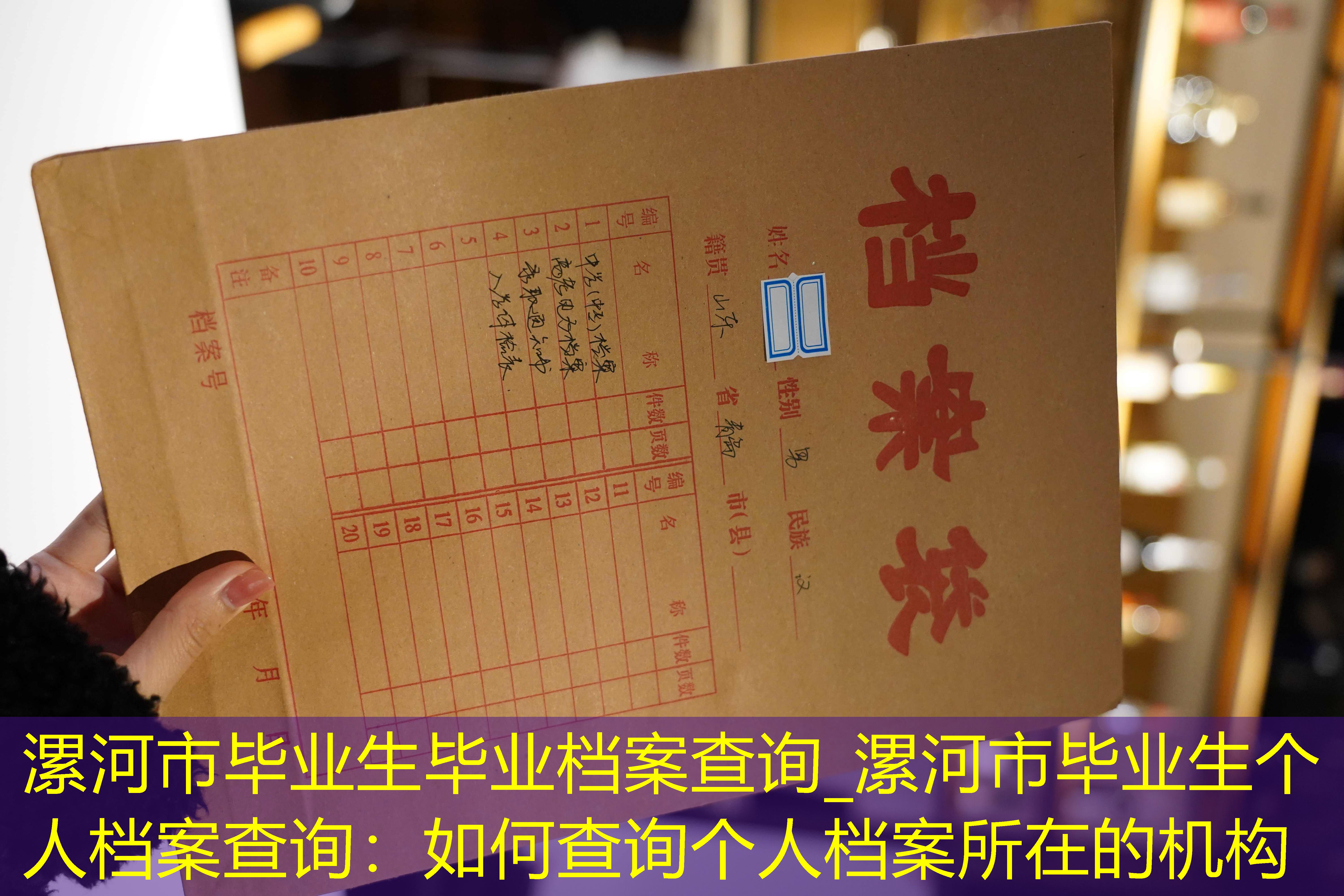 档案查询